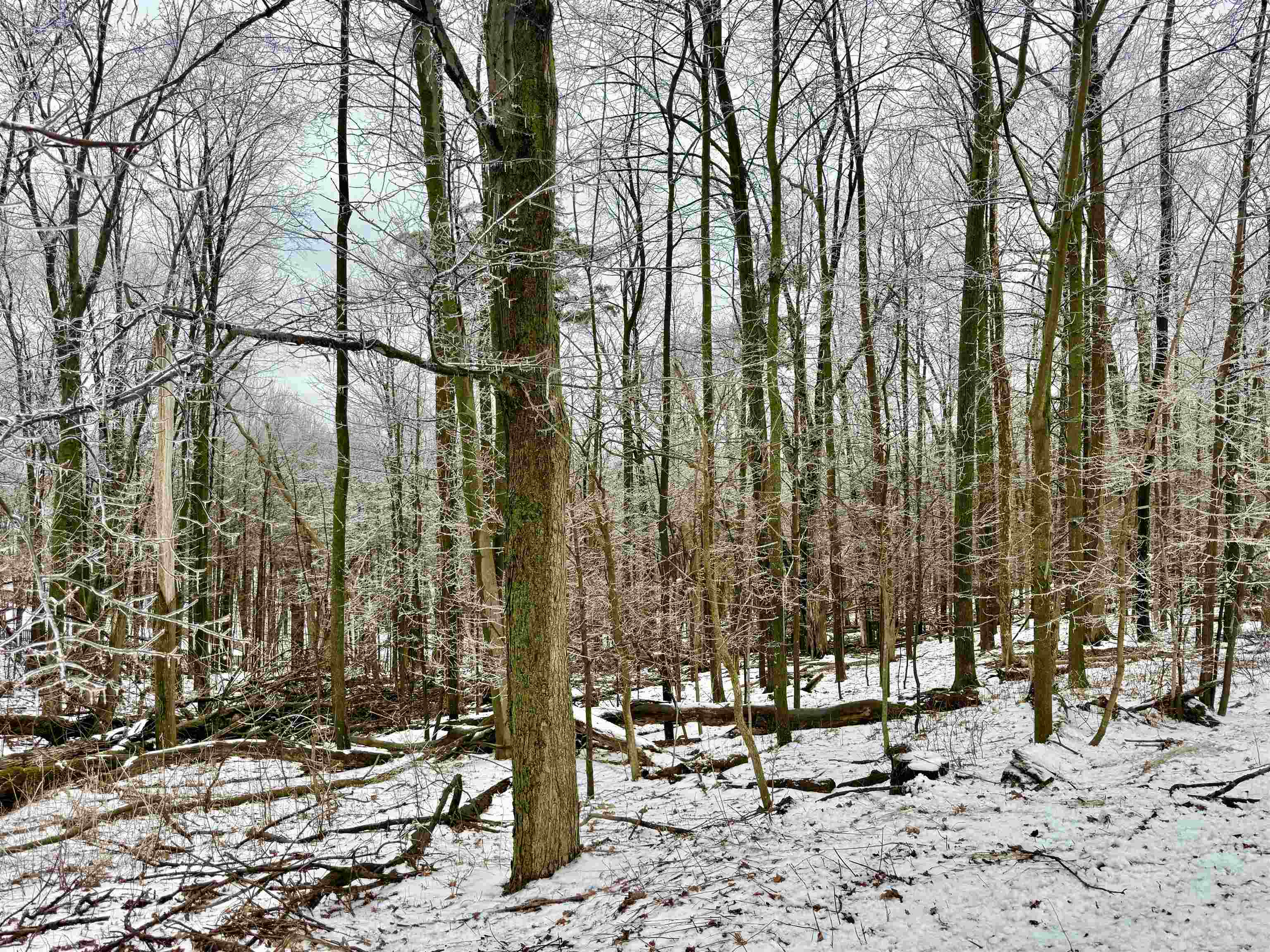 3525 W WAUSAU AVENUE, Wausau, Wisconsin 54401, ,Land,For Sale,3525 W WAUSAU AVENUE,22601286