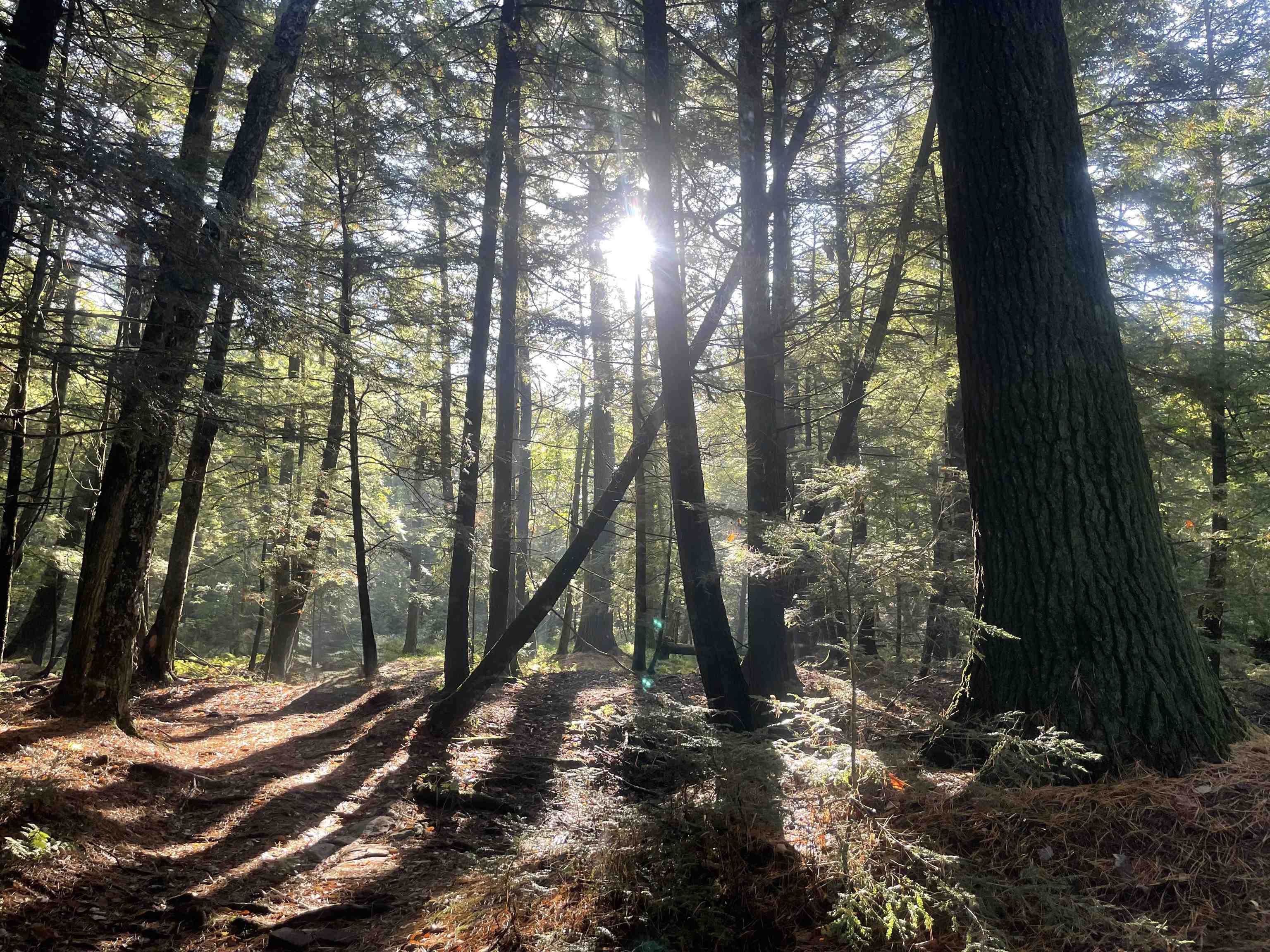 166483 COUNTY ROAD Z, Wausau, Wisconsin 54403, 4 Bedrooms Bedrooms, ,3 BathroomsBathrooms,Residential,For Sale,166483 COUNTY ROAD Z,22601293