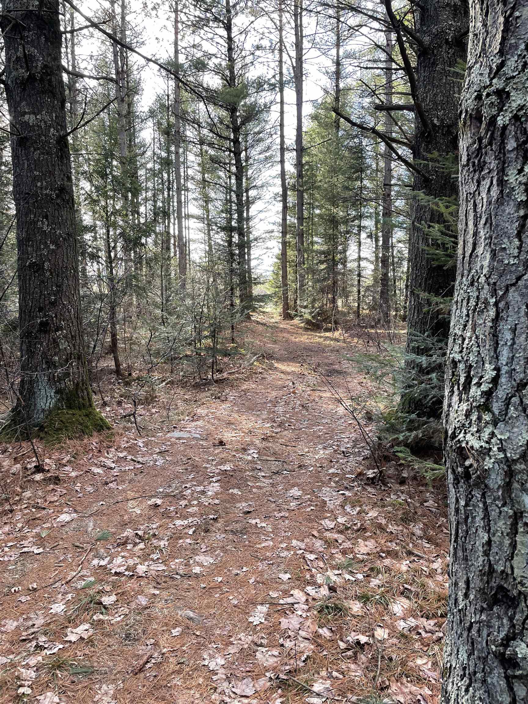 166483 COUNTY ROAD Z, Wausau, Wisconsin 54403, 4 Bedrooms Bedrooms, ,3 BathroomsBathrooms,Residential,For Sale,166483 COUNTY ROAD Z,22601293