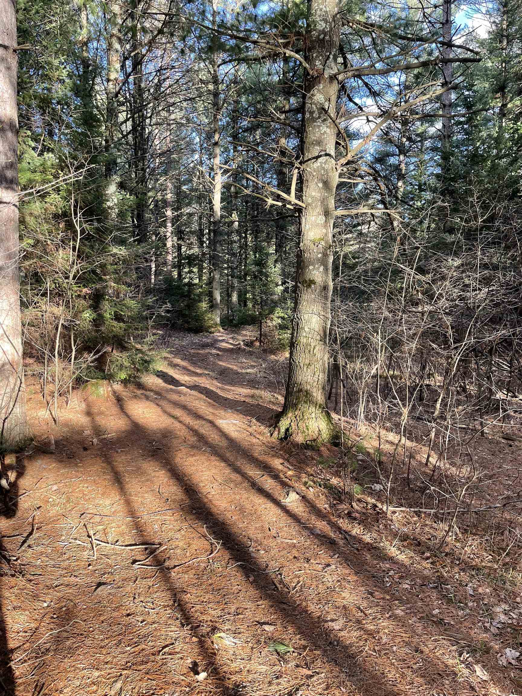 166483 COUNTY ROAD Z, Wausau, Wisconsin 54403, 4 Bedrooms Bedrooms, ,3 BathroomsBathrooms,Residential,For Sale,166483 COUNTY ROAD Z,22601293