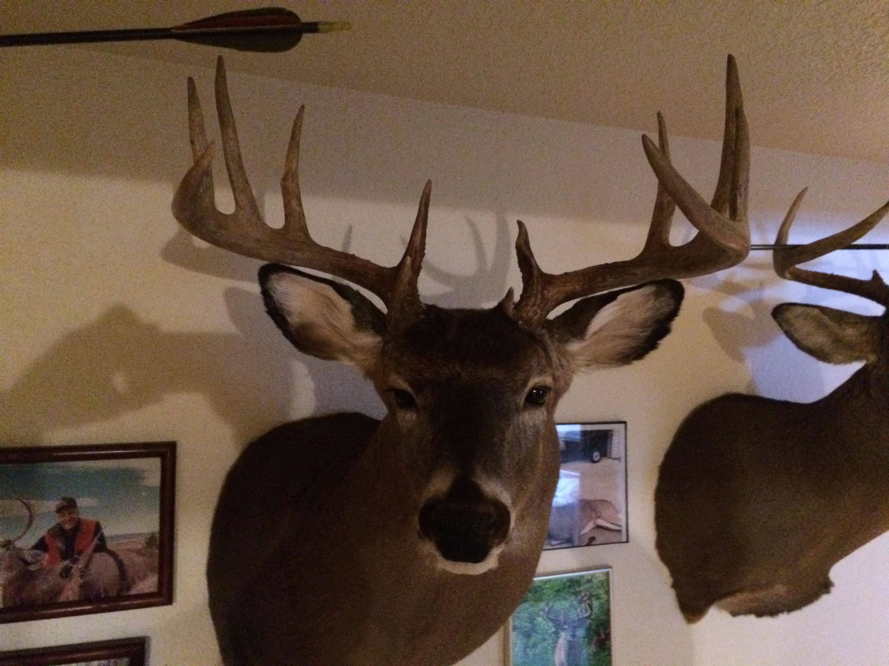 166483 COUNTY ROAD Z, Wausau, Wisconsin 54403, 4 Bedrooms Bedrooms, ,3 BathroomsBathrooms,Residential,For Sale,166483 COUNTY ROAD Z,22601293