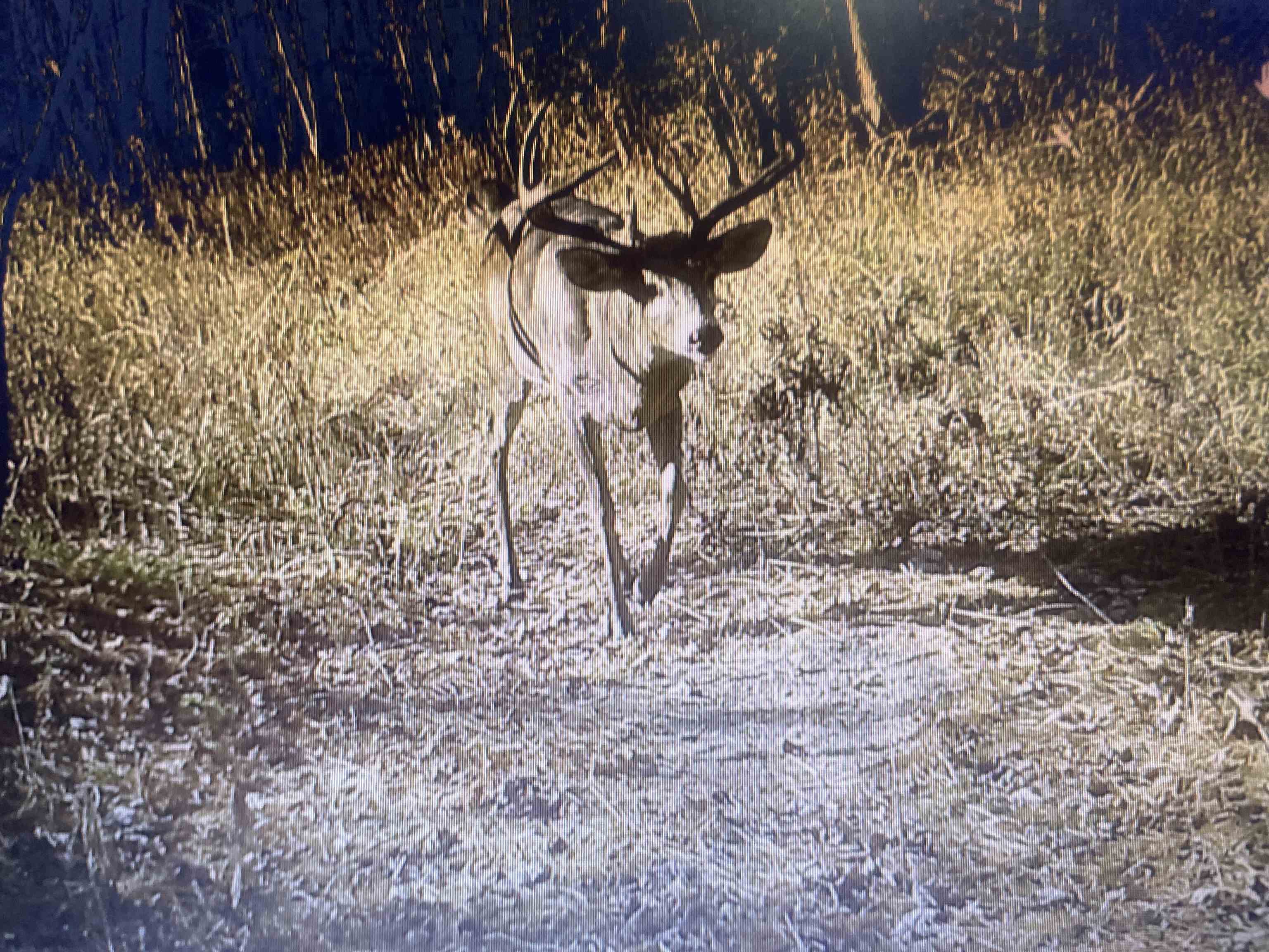 166483 COUNTY ROAD Z, Wausau, Wisconsin 54403, 4 Bedrooms Bedrooms, ,3 BathroomsBathrooms,Residential,For Sale,166483 COUNTY ROAD Z,22601293