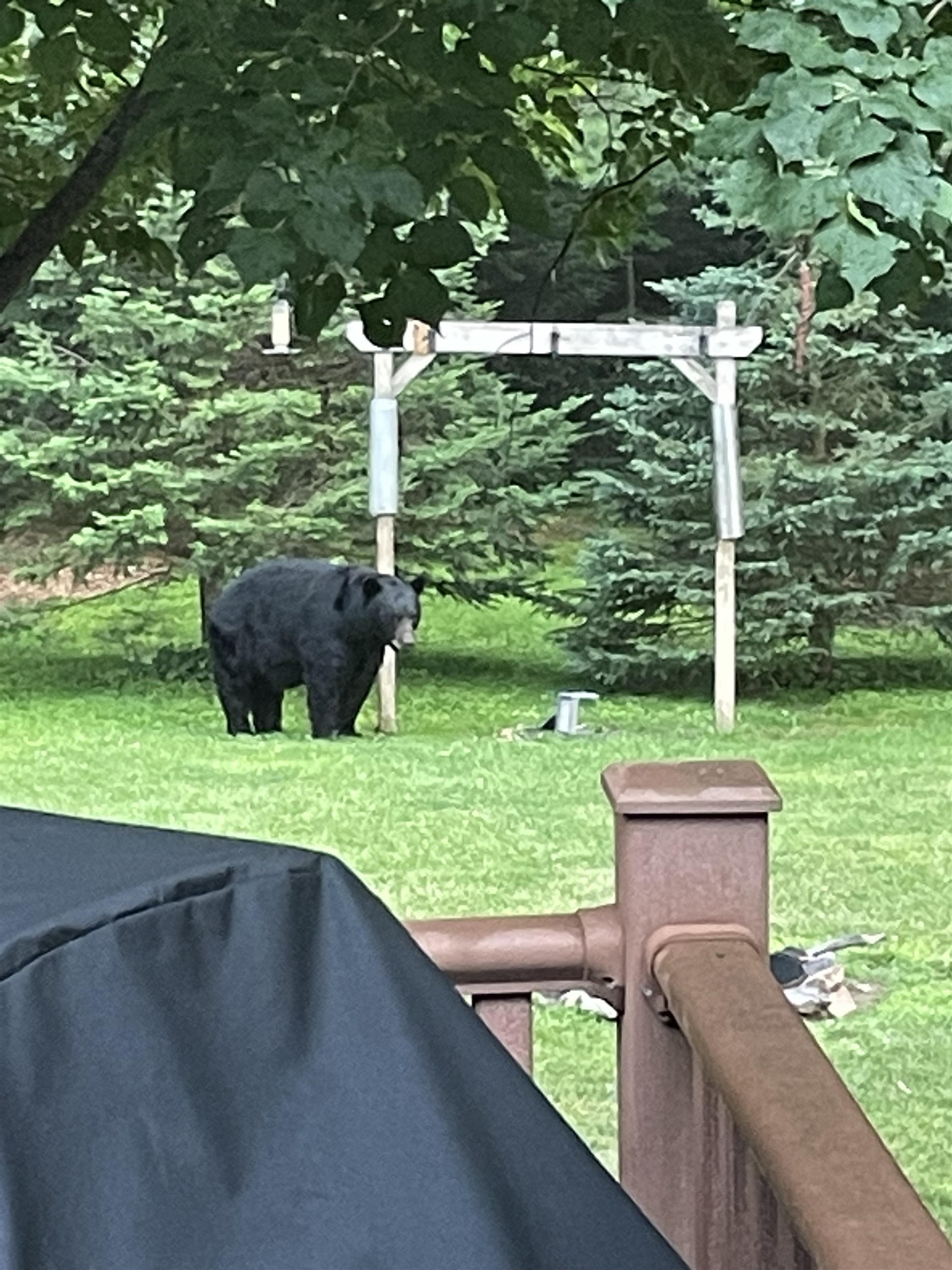 166483 COUNTY ROAD Z, Wausau, Wisconsin 54403, 4 Bedrooms Bedrooms, ,3 BathroomsBathrooms,Residential,For Sale,166483 COUNTY ROAD Z,22601293