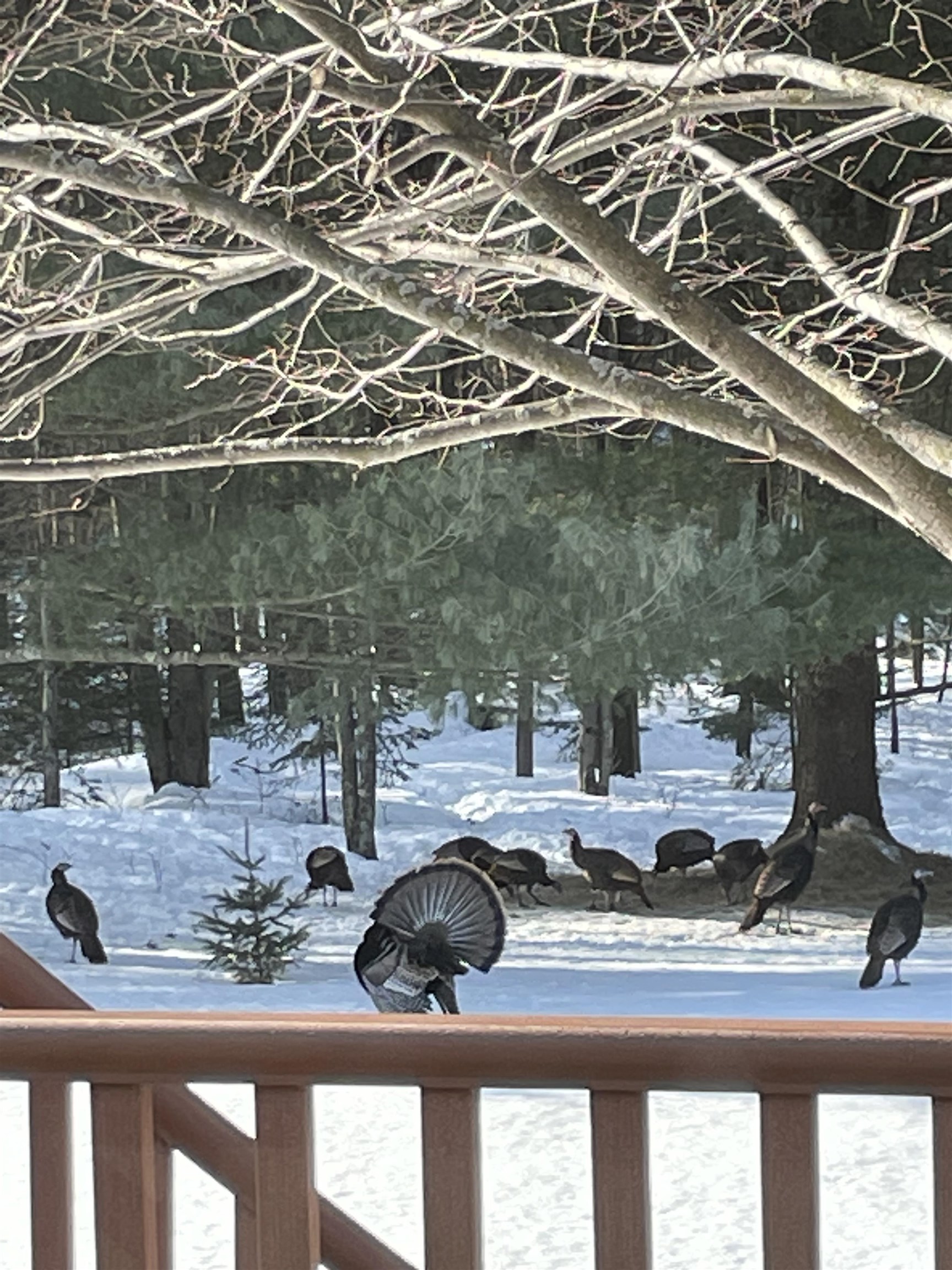 166483 COUNTY ROAD Z, Wausau, Wisconsin 54403, 4 Bedrooms Bedrooms, ,3 BathroomsBathrooms,Residential,For Sale,166483 COUNTY ROAD Z,22601293