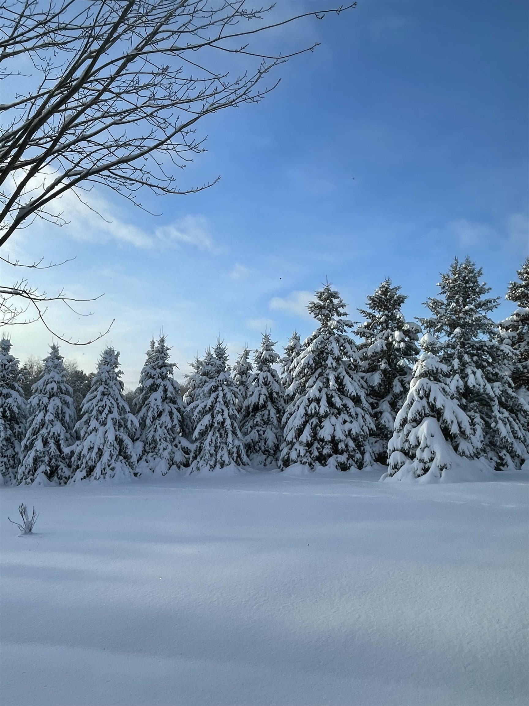 166483 COUNTY ROAD Z, Wausau, Wisconsin 54403, 4 Bedrooms Bedrooms, ,3 BathroomsBathrooms,Residential,For Sale,166483 COUNTY ROAD Z,22601293