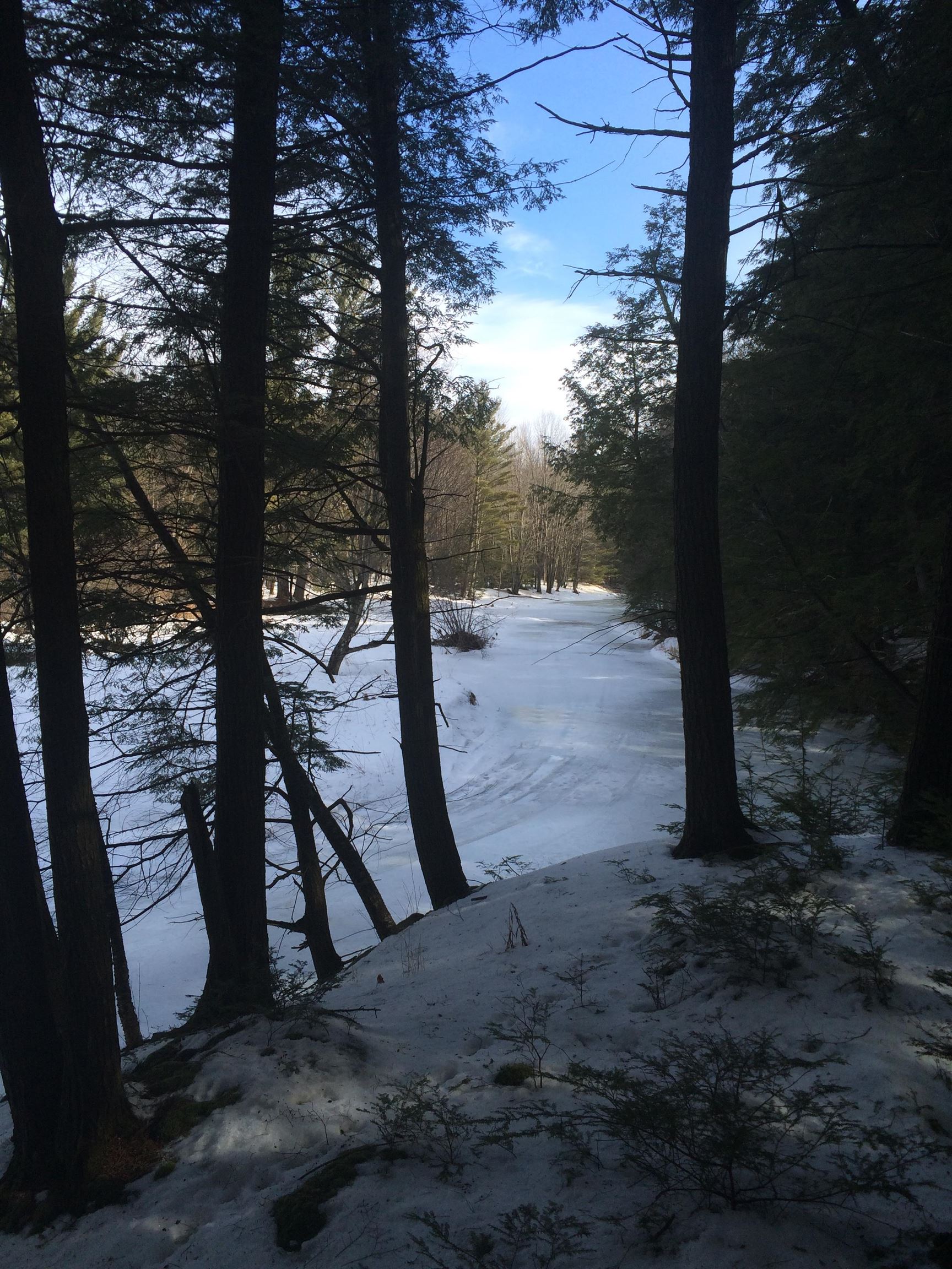 166483 COUNTY ROAD Z, Wausau, Wisconsin 54403, 4 Bedrooms Bedrooms, ,3 BathroomsBathrooms,Residential,For Sale,166483 COUNTY ROAD Z,22601293