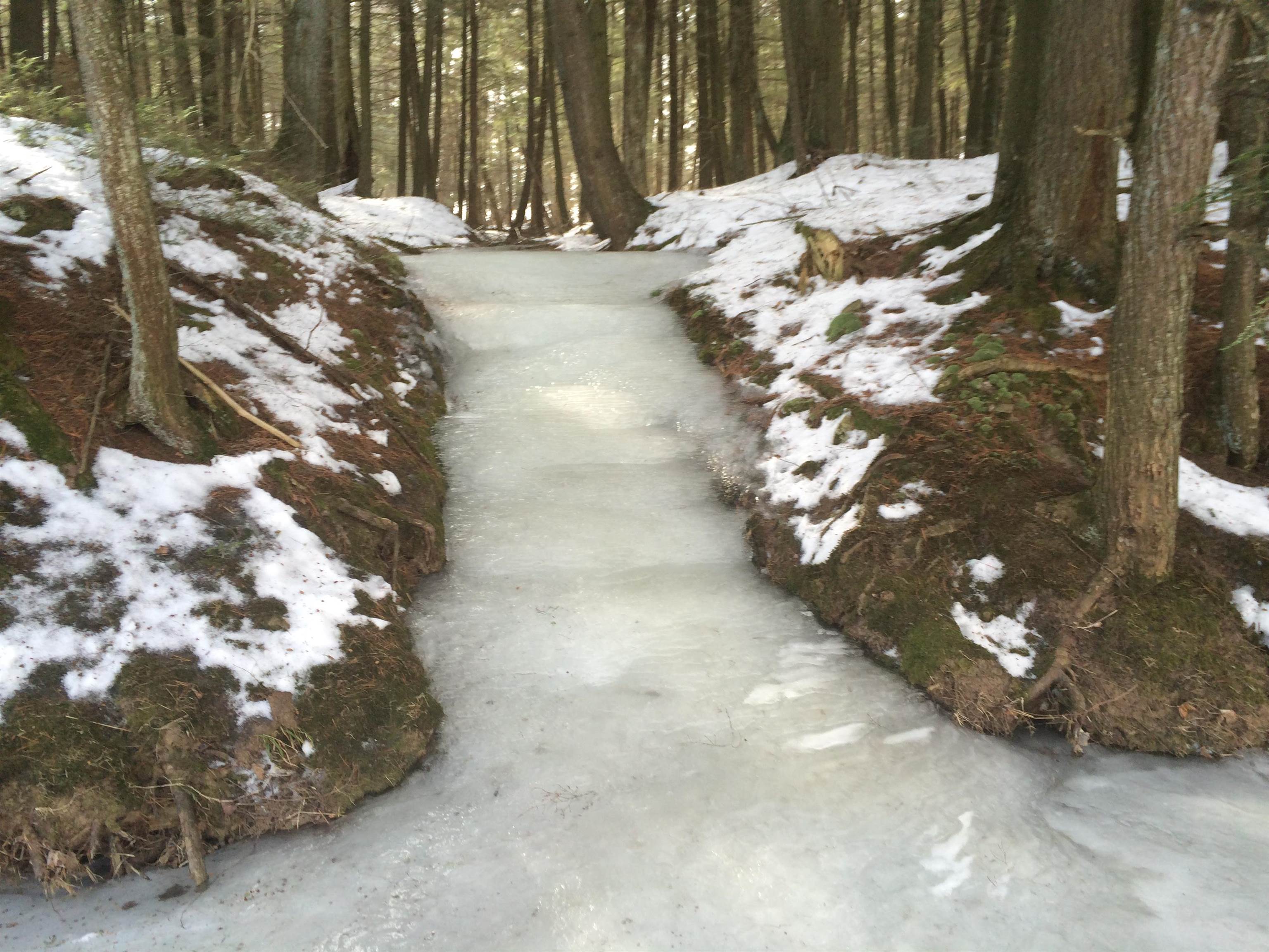 166483 COUNTY ROAD Z, Wausau, Wisconsin 54403, 4 Bedrooms Bedrooms, ,3 BathroomsBathrooms,Residential,For Sale,166483 COUNTY ROAD Z,22601293