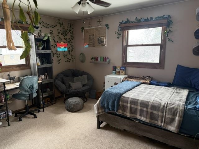 513 N HUME AVENUE, Marshfield, Wisconsin 54449, 4 Bedrooms Bedrooms, ,2 BathroomsBathrooms,Residential,For Sale,513 N HUME AVENUE,22601296