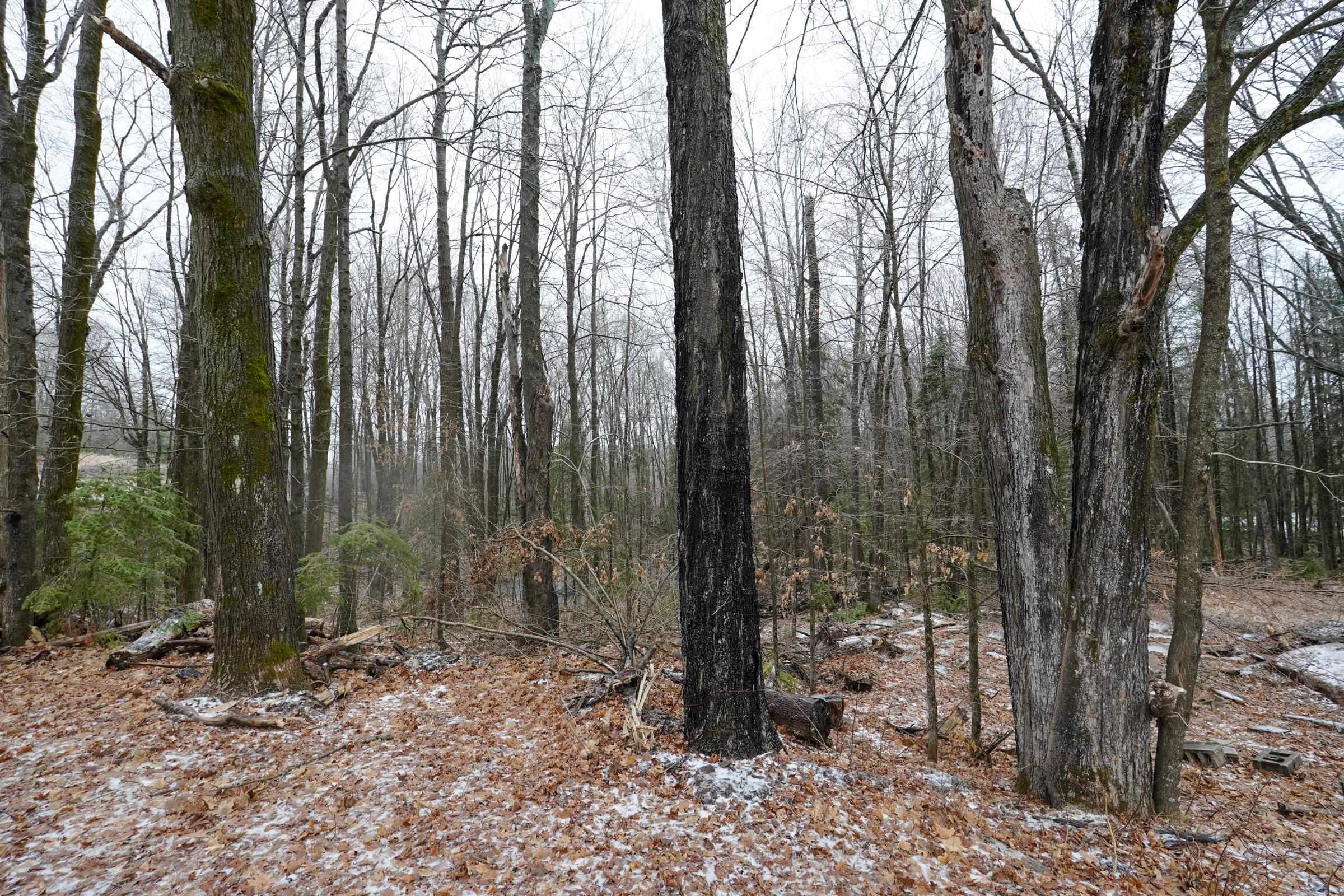 W5342 FAWN AVENUE, Westboro, Wisconsin 54490, 1 Bedroom Bedrooms, ,2 BathroomsBathrooms,Residential,For Sale,W5342 FAWN AVENUE,22601302