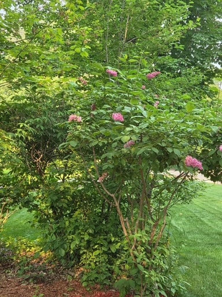 4316 PLEASANT VIEW DRIVE, Stevens Point, Wisconsin 54481, 3 Bedrooms Bedrooms, ,2 BathroomsBathrooms,Residential,For Sale,4316 PLEASANT VIEW DRIVE,22601319