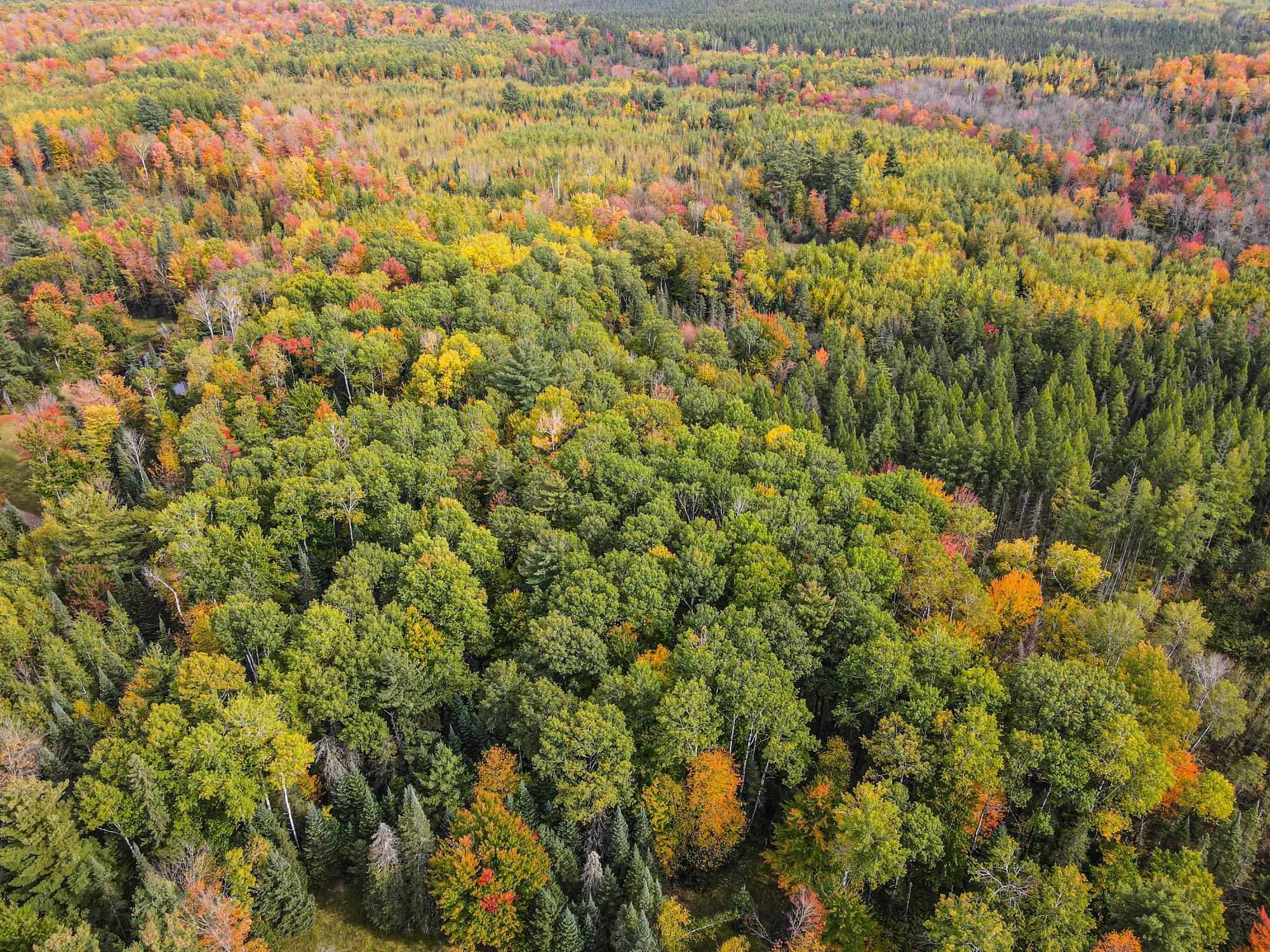 N12668 HICKS LANDING ROAD, Fifield, Wisconsin 54524, 2 Bedrooms Bedrooms, ,1 BathroomBathrooms,Residential,For Sale,N12668 HICKS LANDING ROAD,22601333