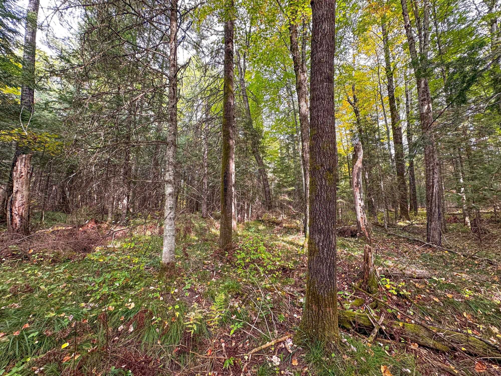 N12668 HICKS LANDING ROAD, Fifield, Wisconsin 54524, 2 Bedrooms Bedrooms, ,1 BathroomBathrooms,Residential,For Sale,N12668 HICKS LANDING ROAD,22601333