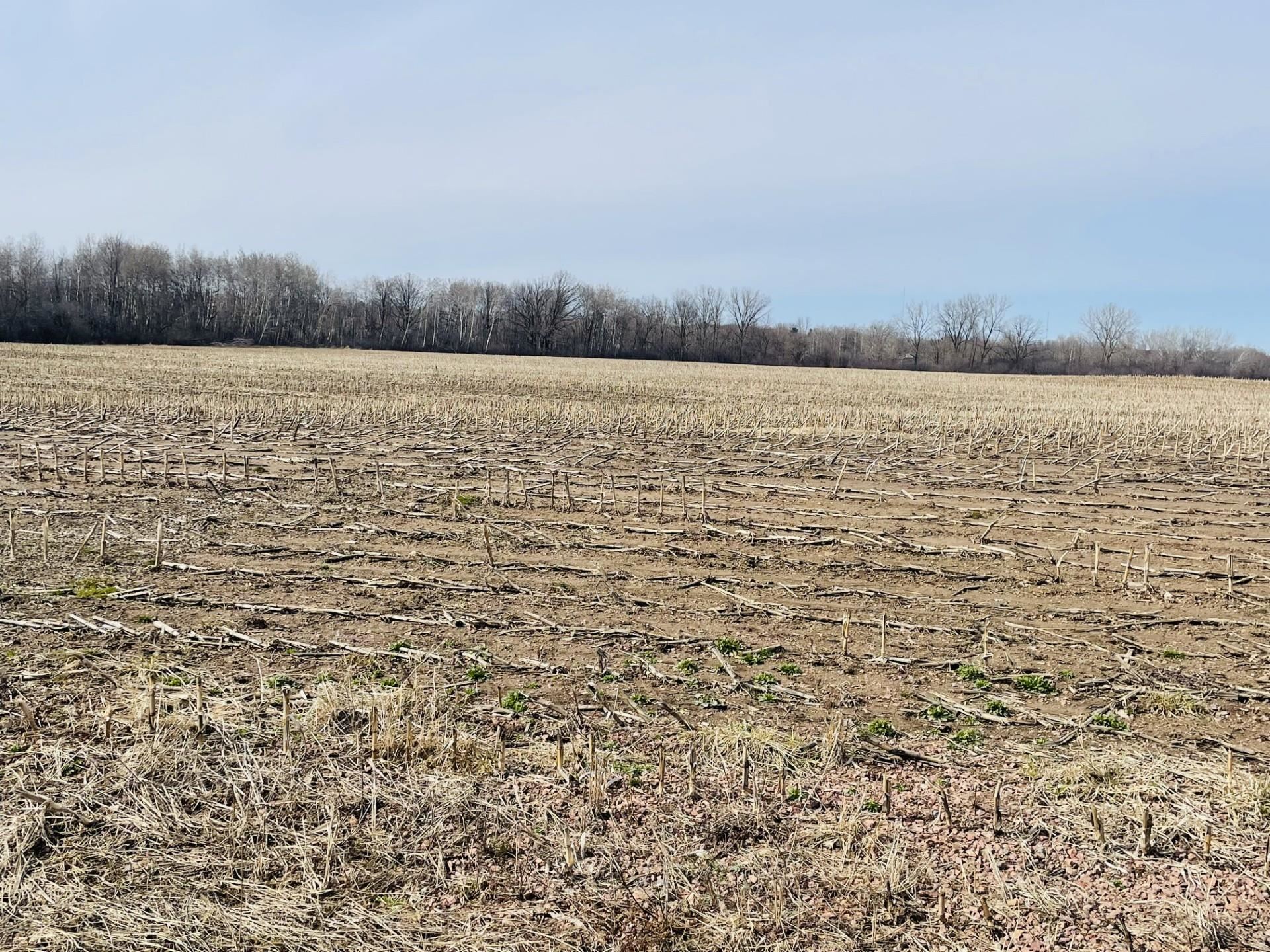 20 Acres N HUME AVENUE, Marshfield, Wisconsin 54449, ,Land,For Sale,20 Acres N HUME AVENUE,22601340