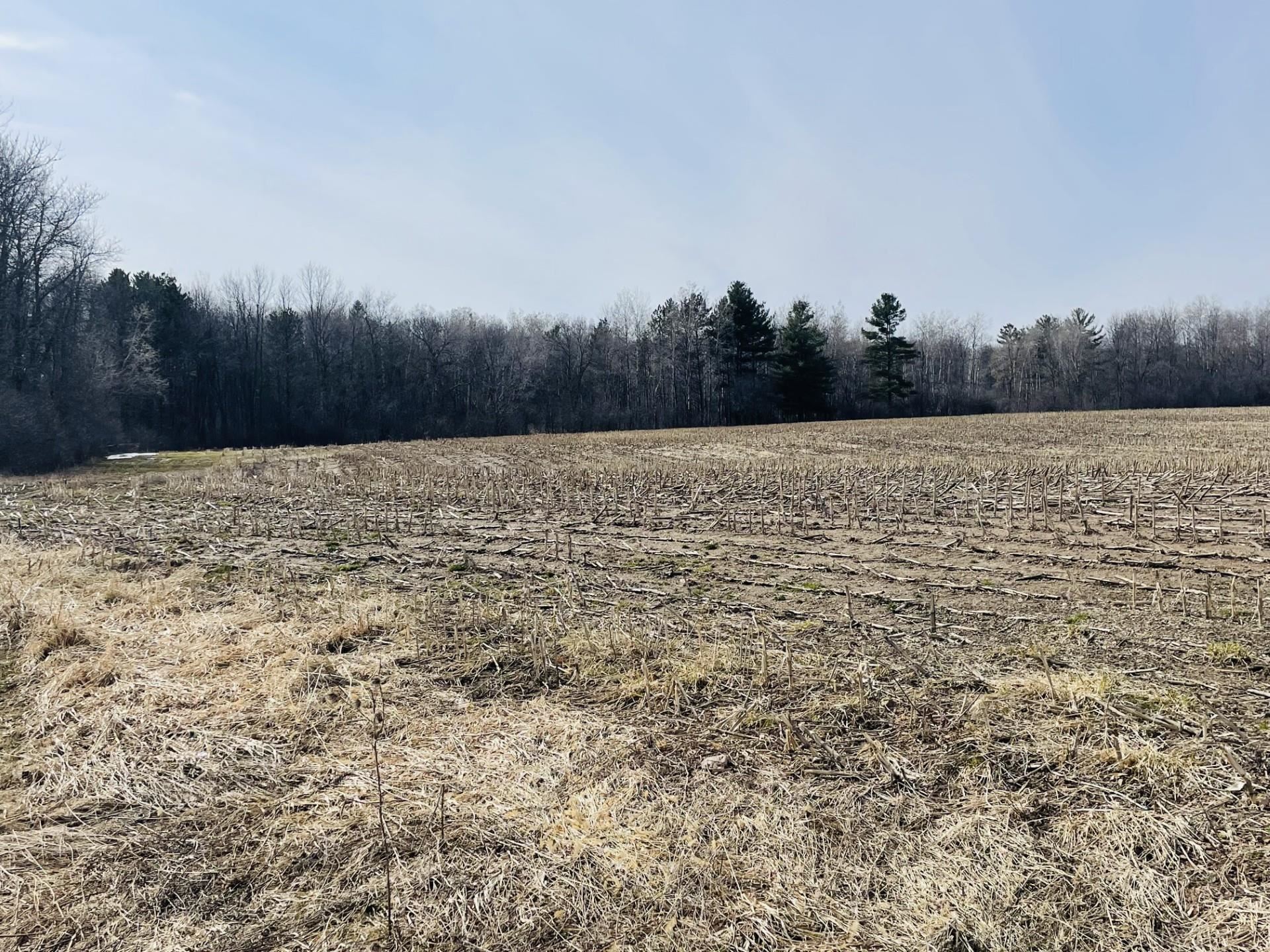 20 Acres N HUME AVENUE, Marshfield, Wisconsin 54449, ,Land,For Sale,20 Acres N HUME AVENUE,22601340