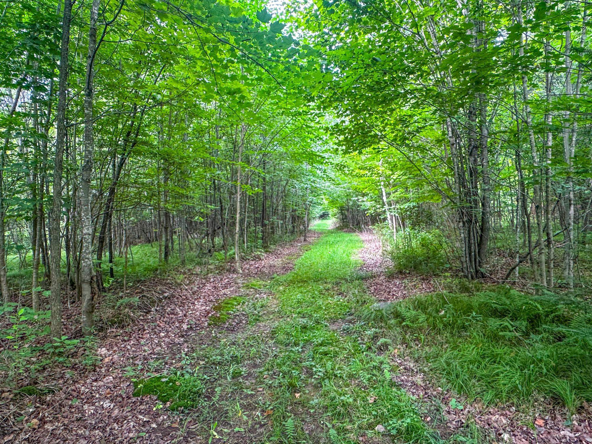 93.89A on KUNDINGER ROAD, Park Falls, Wisconsin 54552, ,Land,For Sale,93.89A on KUNDINGER ROAD,22601354