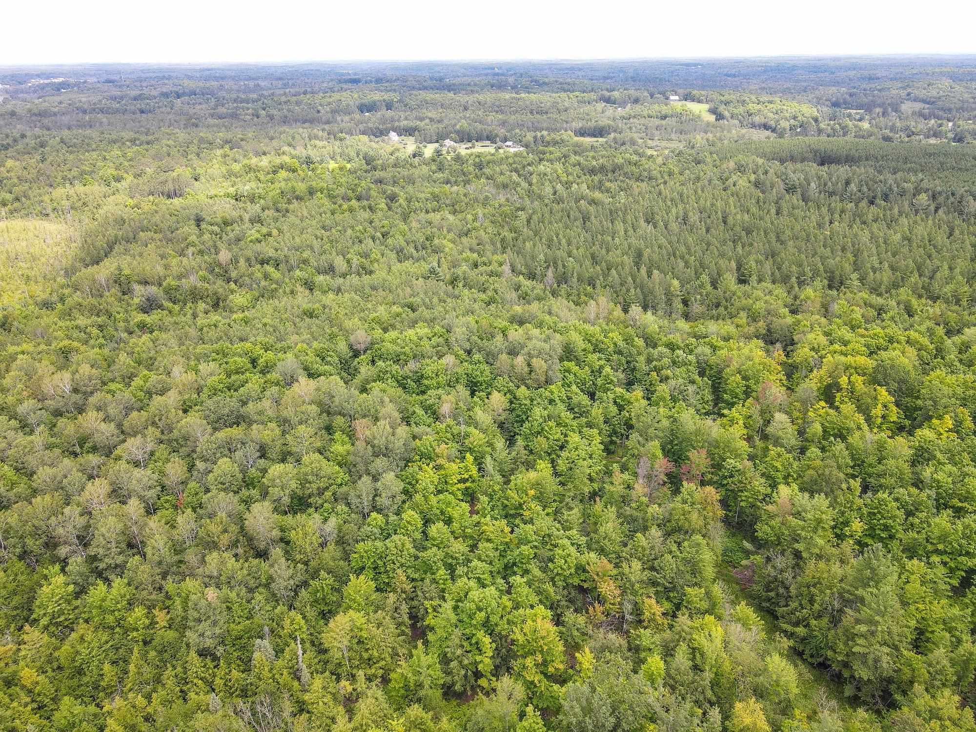 93.89A on KUNDINGER ROAD, Park Falls, Wisconsin 54552, ,Land,For Sale,93.89A on KUNDINGER ROAD,22601354