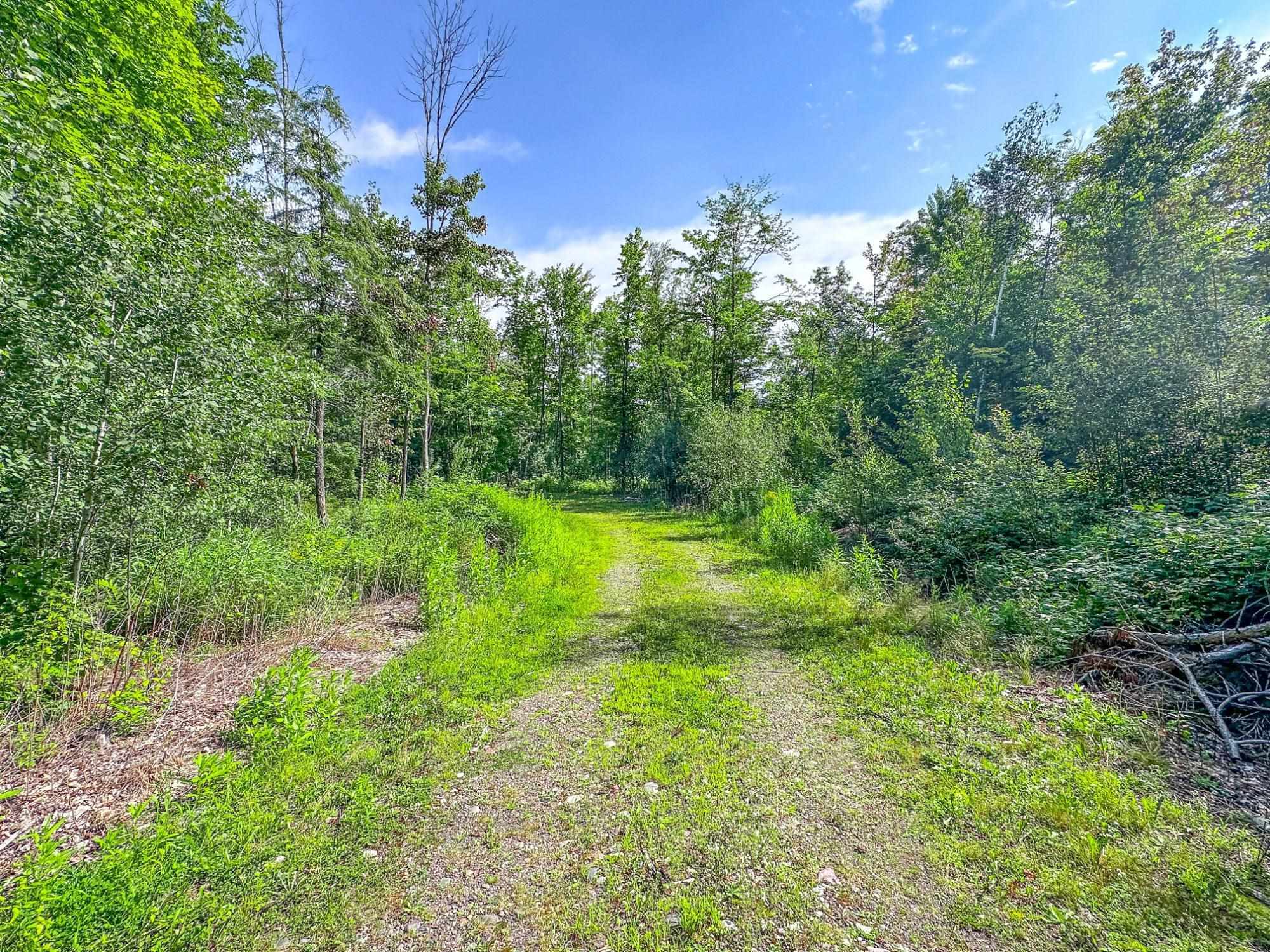 93.89A on KUNDINGER ROAD, Park Falls, Wisconsin 54552, ,Land,For Sale,93.89A on KUNDINGER ROAD,22601354