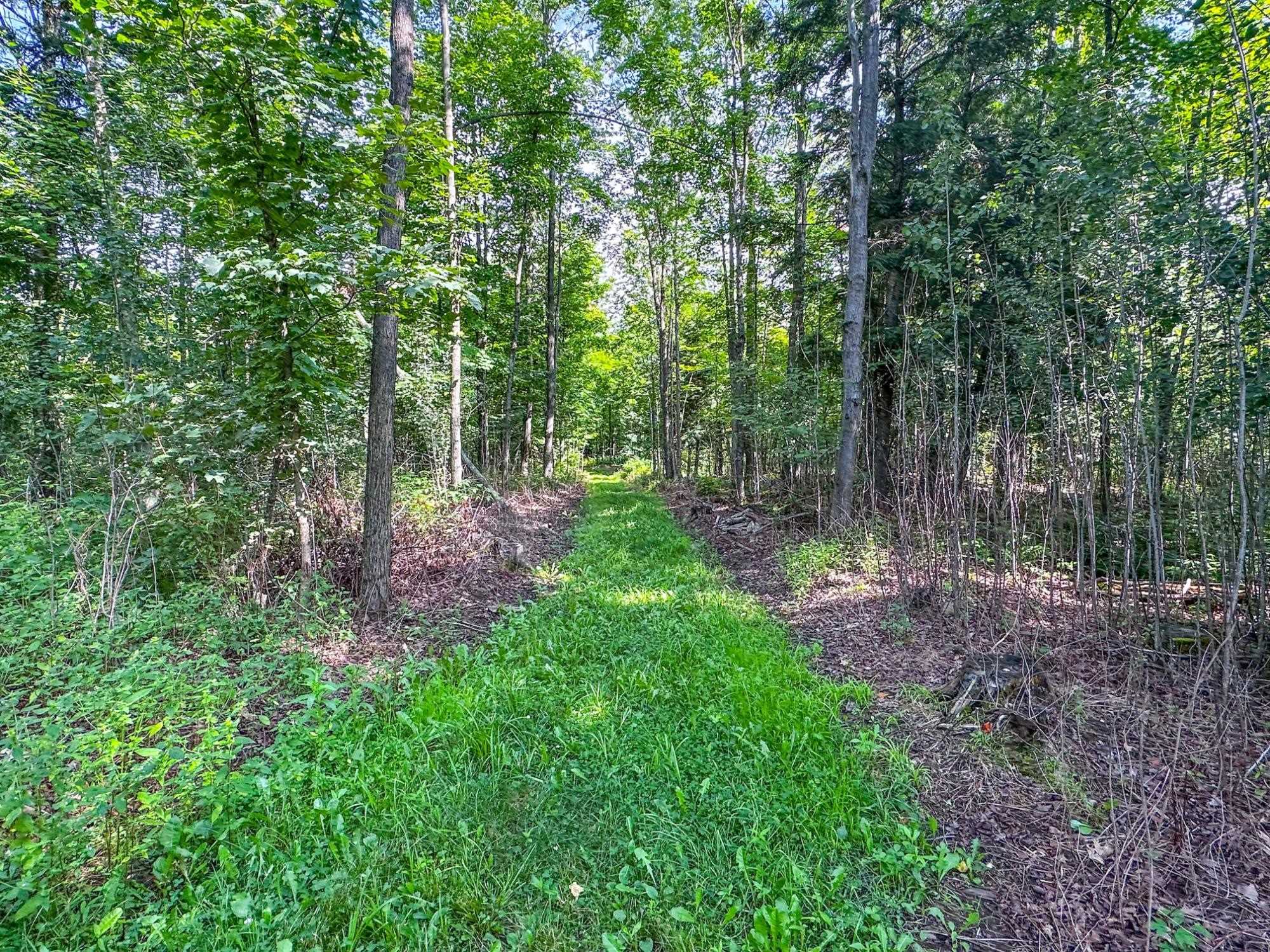 93.89A on KUNDINGER ROAD, Park Falls, Wisconsin 54552, ,Land,For Sale,93.89A on KUNDINGER ROAD,22601354