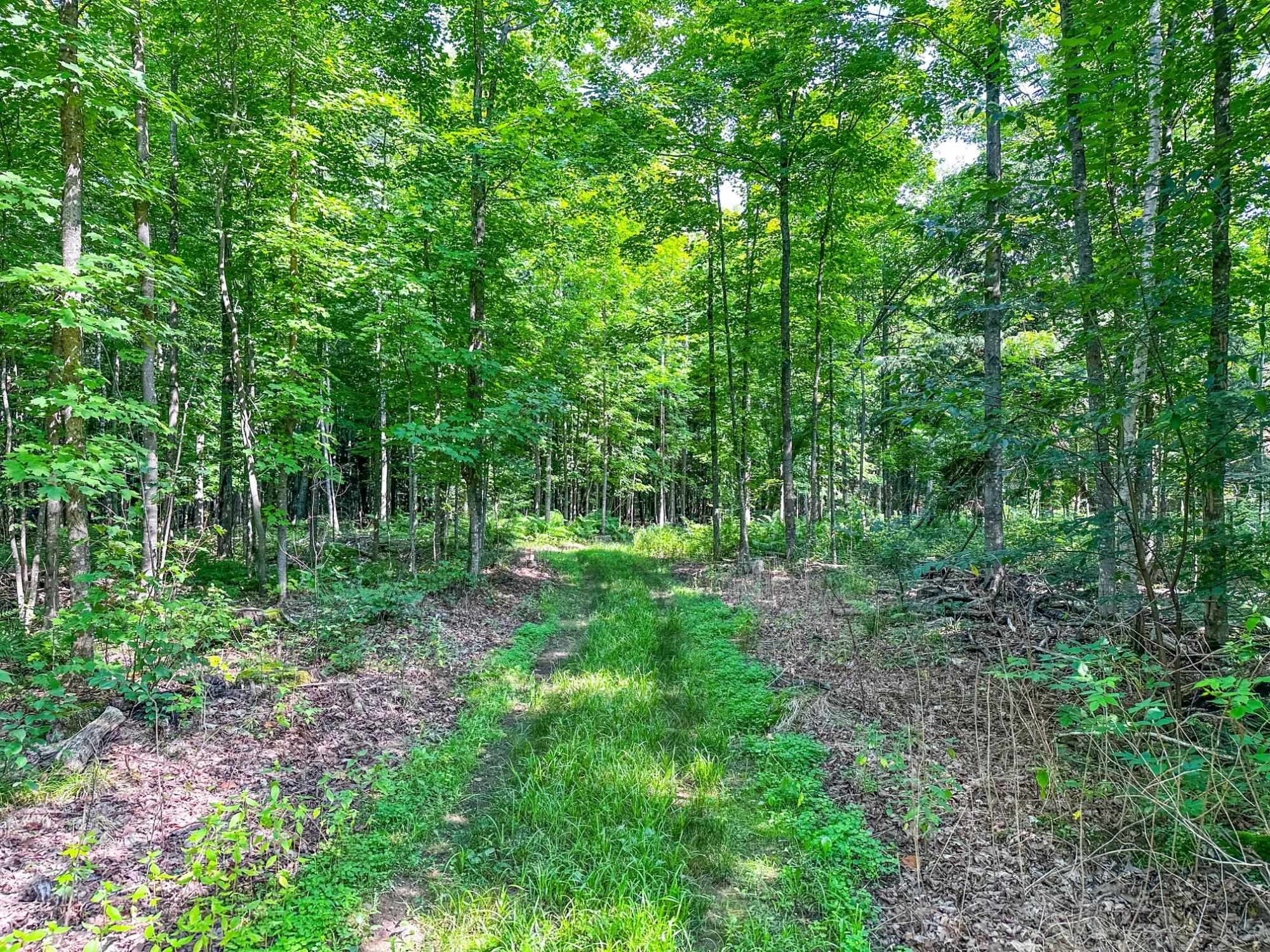 93.89A on KUNDINGER ROAD, Park Falls, Wisconsin 54552, ,Land,For Sale,93.89A on KUNDINGER ROAD,22601354