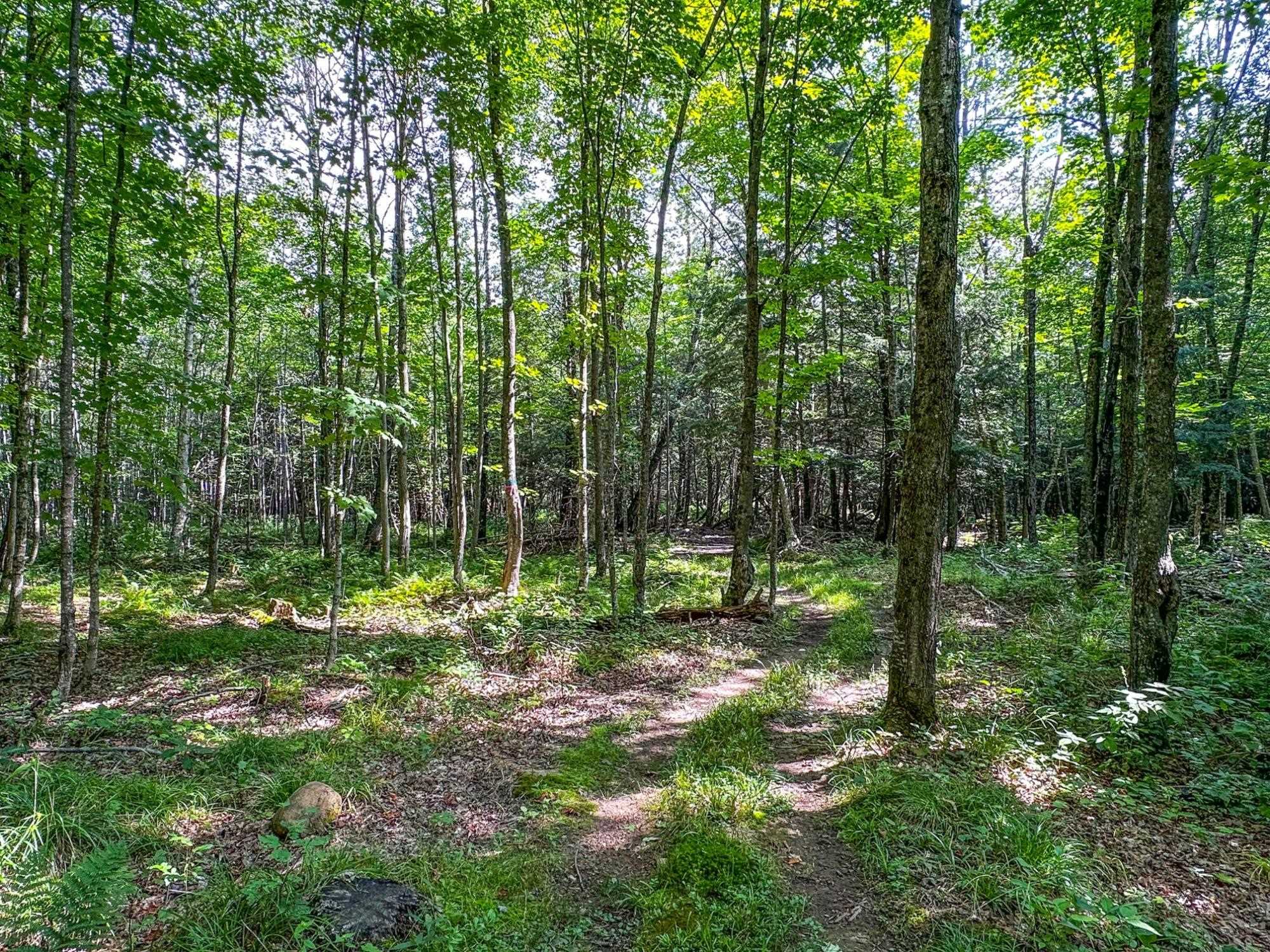 93.89A on KUNDINGER ROAD, Park Falls, Wisconsin 54552, ,Land,For Sale,93.89A on KUNDINGER ROAD,22601354