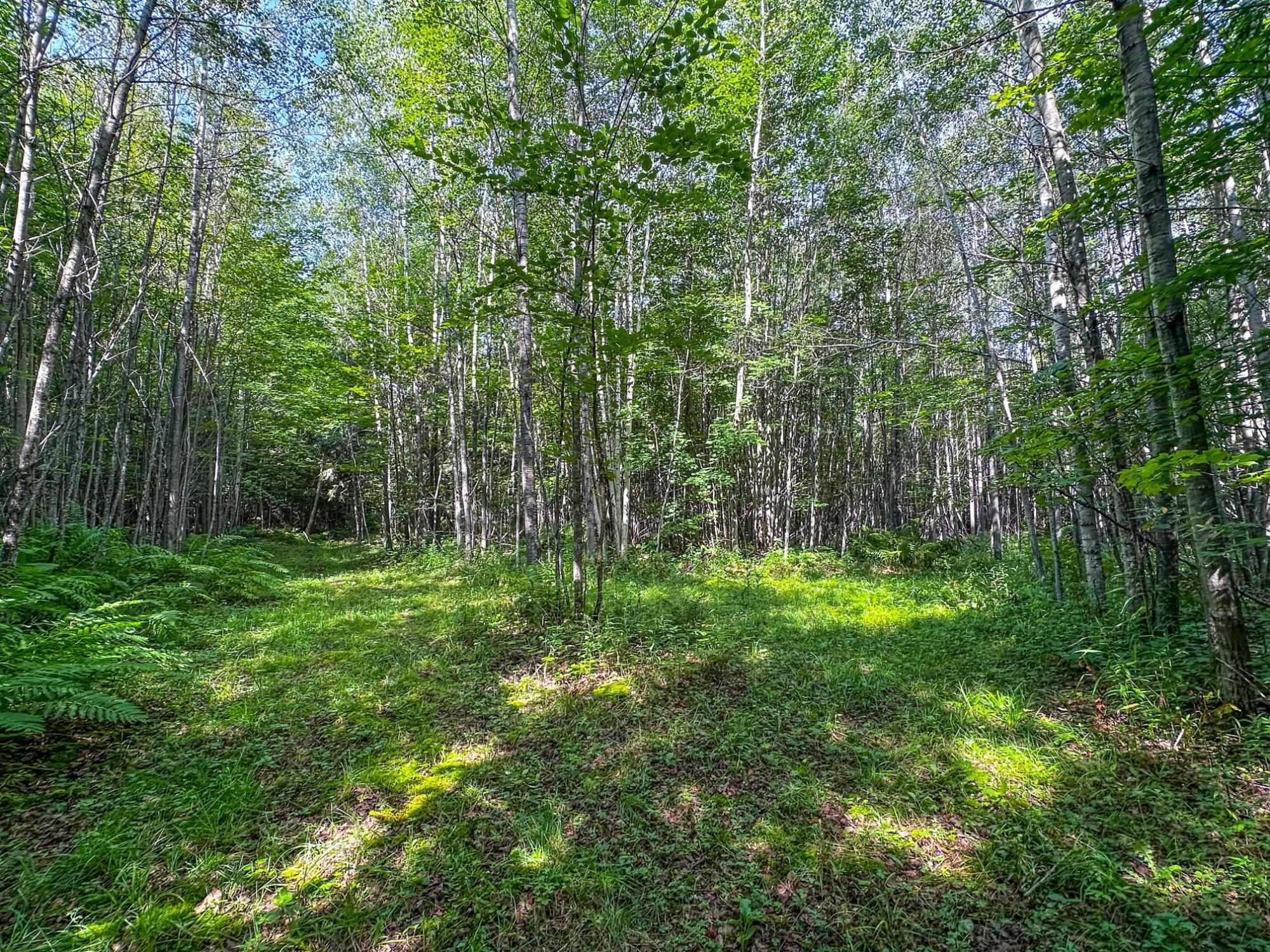 93.89A on KUNDINGER ROAD, Park Falls, Wisconsin 54552, ,Land,For Sale,93.89A on KUNDINGER ROAD,22601354