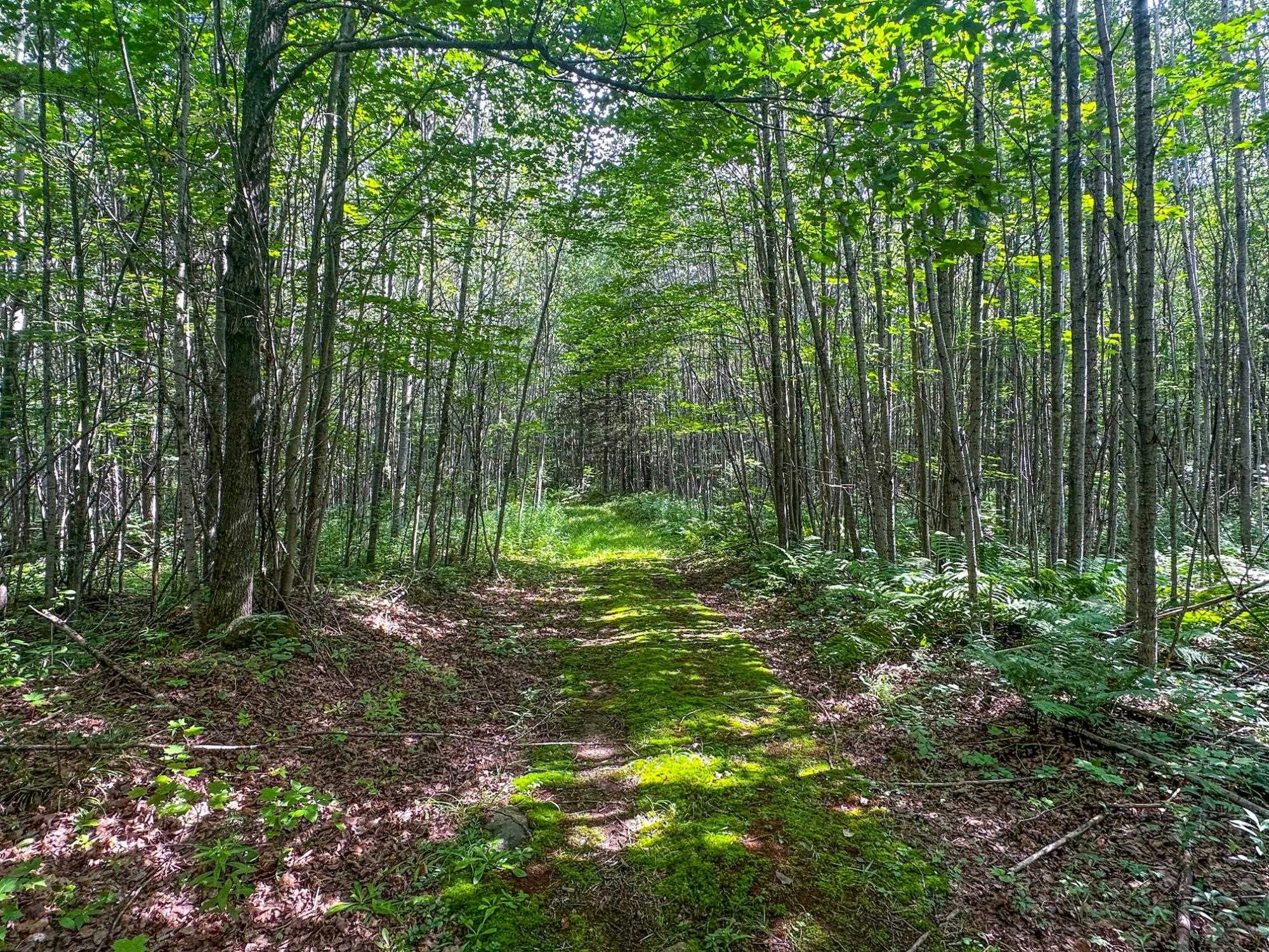 93.89A on KUNDINGER ROAD, Park Falls, Wisconsin 54552, ,Land,For Sale,93.89A on KUNDINGER ROAD,22601354