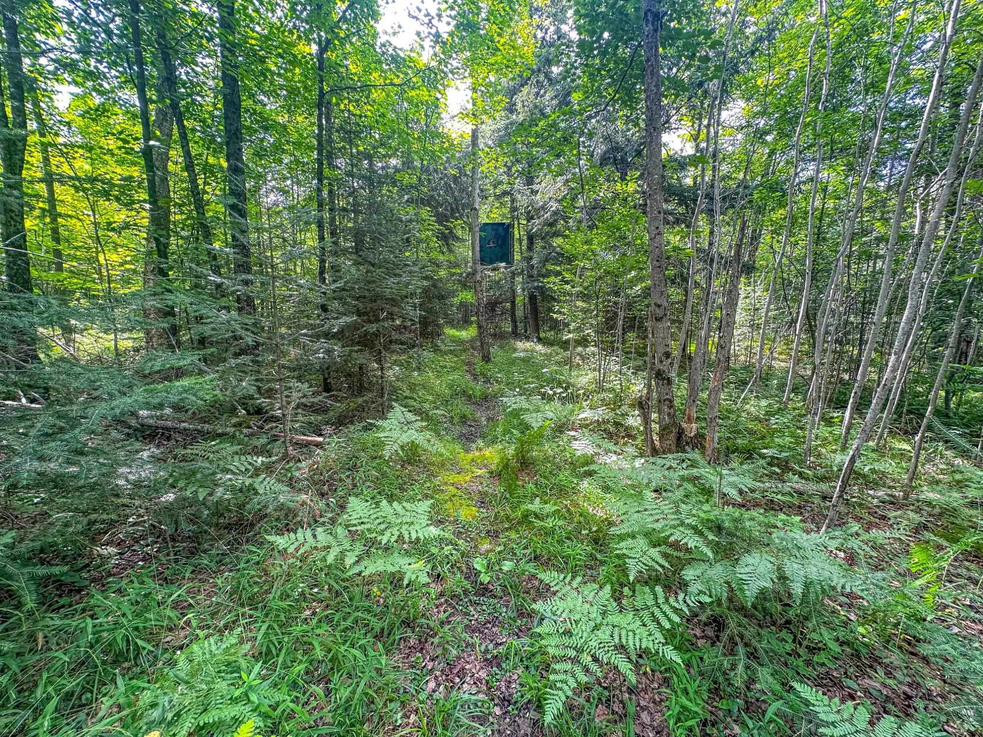 93.89A on KUNDINGER ROAD, Park Falls, Wisconsin 54552, ,Land,For Sale,93.89A on KUNDINGER ROAD,22601354