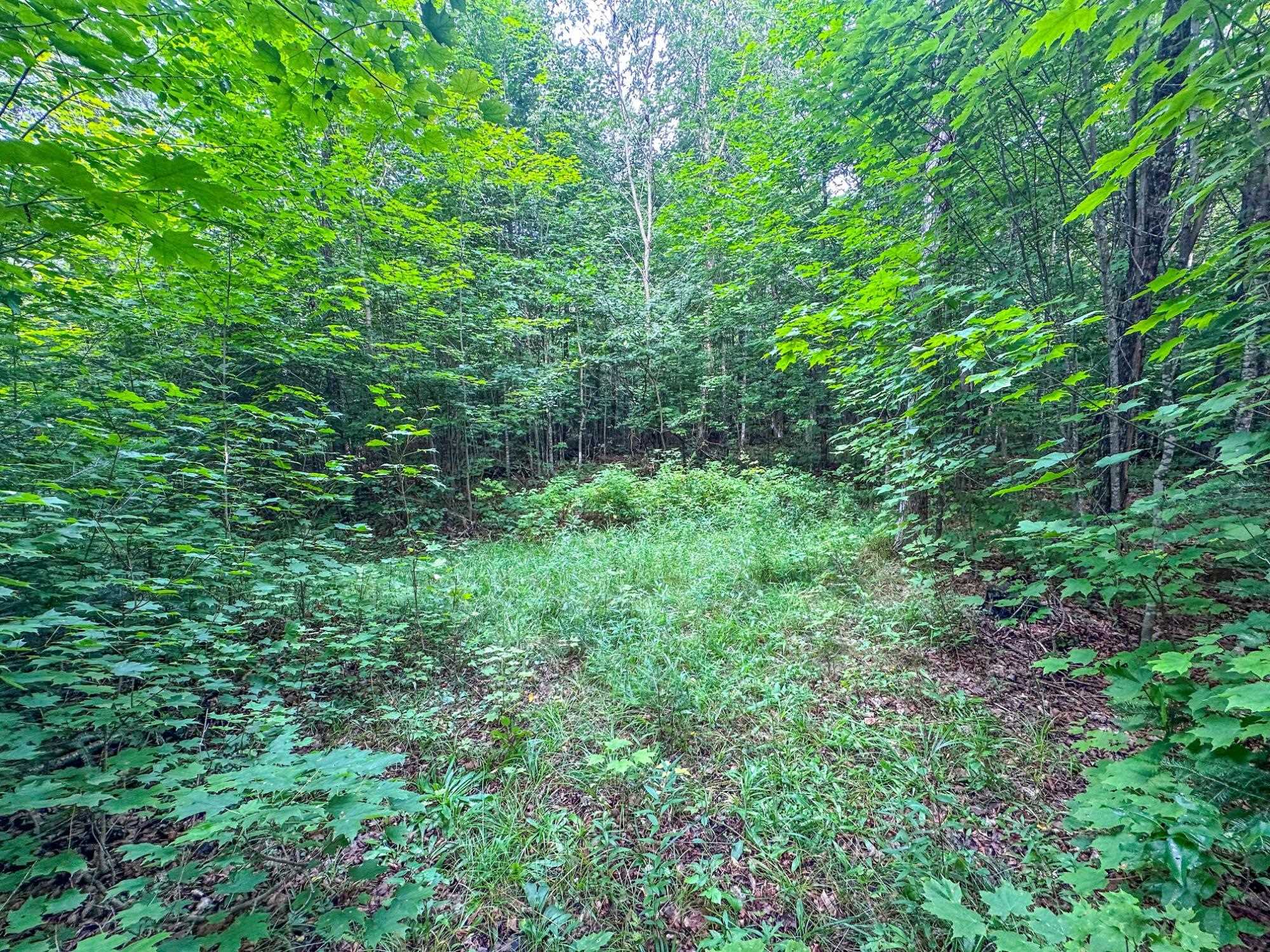 93.89A on KUNDINGER ROAD, Park Falls, Wisconsin 54552, ,Land,For Sale,93.89A on KUNDINGER ROAD,22601354