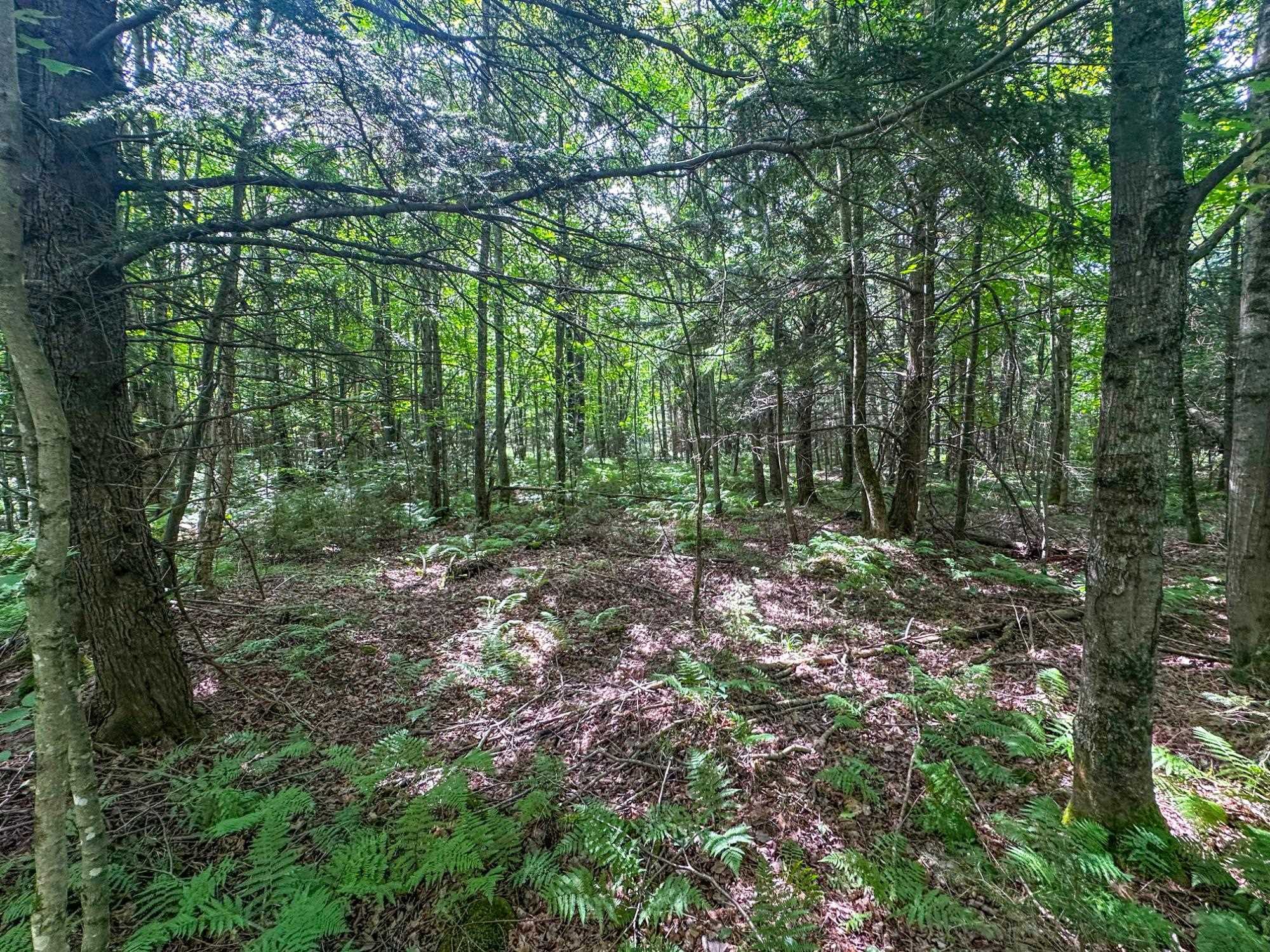 93.89A on KUNDINGER ROAD, Park Falls, Wisconsin 54552, ,Land,For Sale,93.89A on KUNDINGER ROAD,22601354