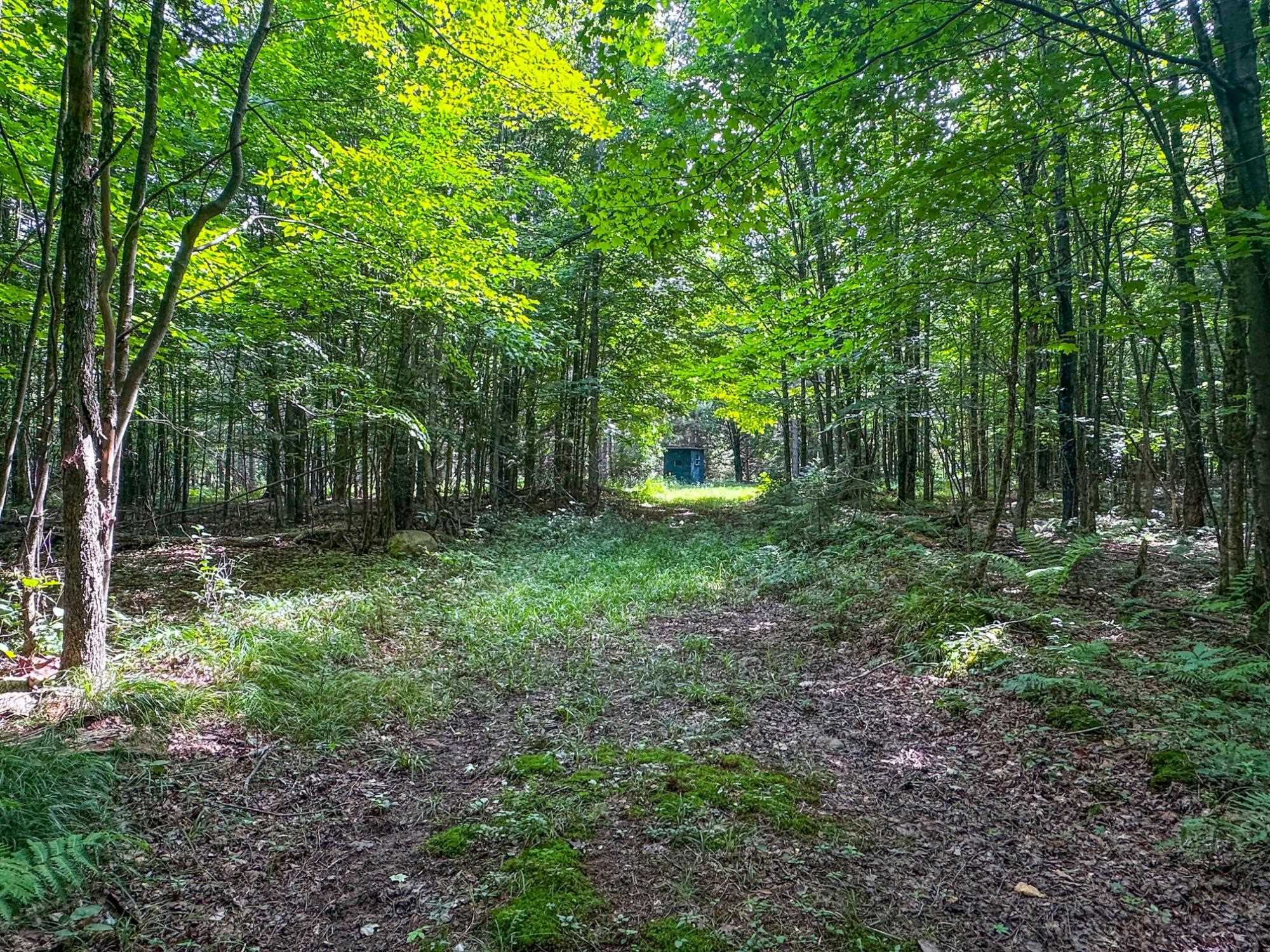 93.89A on KUNDINGER ROAD, Park Falls, Wisconsin 54552, ,Land,For Sale,93.89A on KUNDINGER ROAD,22601354