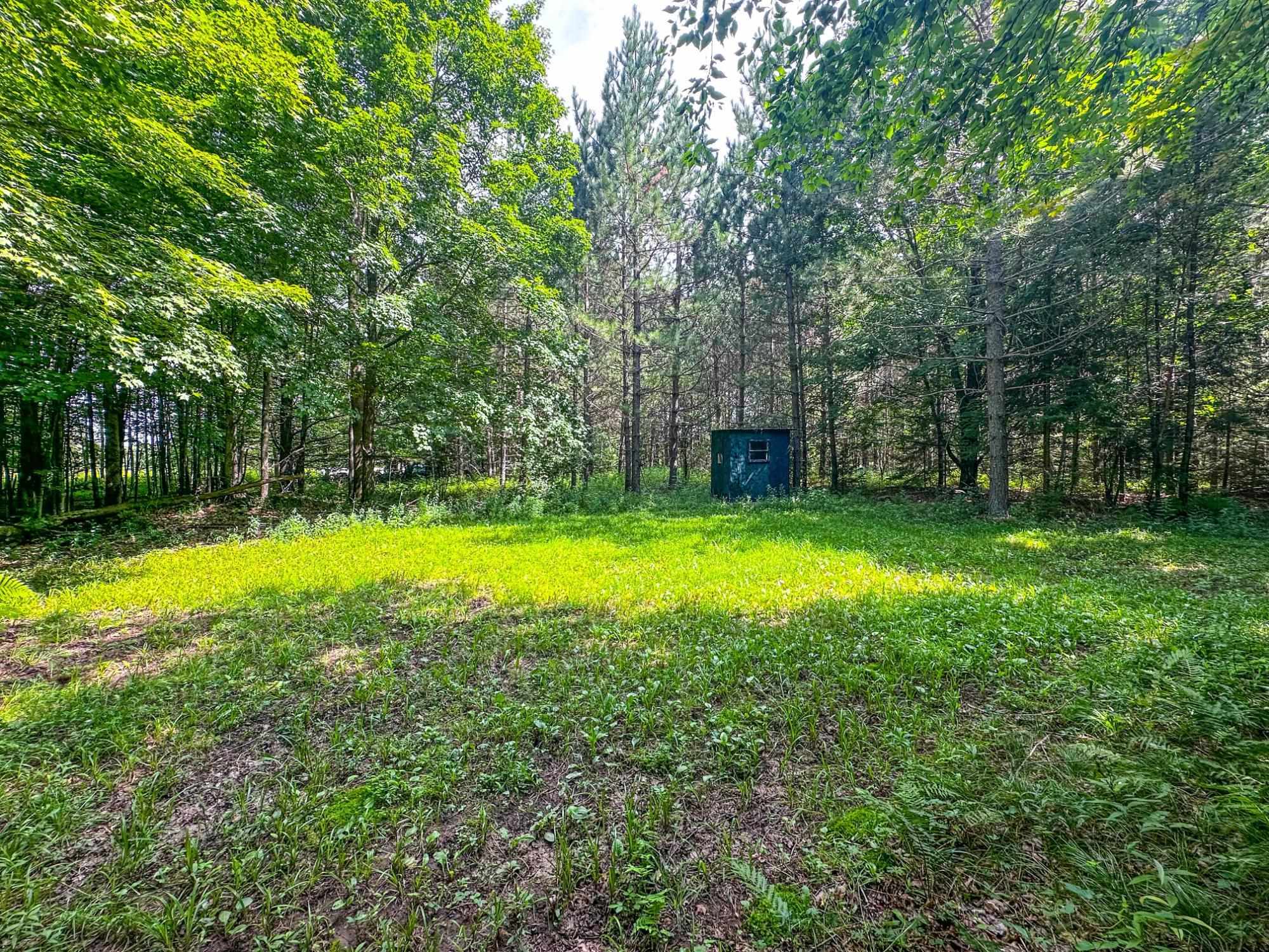 93.89A on KUNDINGER ROAD, Park Falls, Wisconsin 54552, ,Land,For Sale,93.89A on KUNDINGER ROAD,22601354