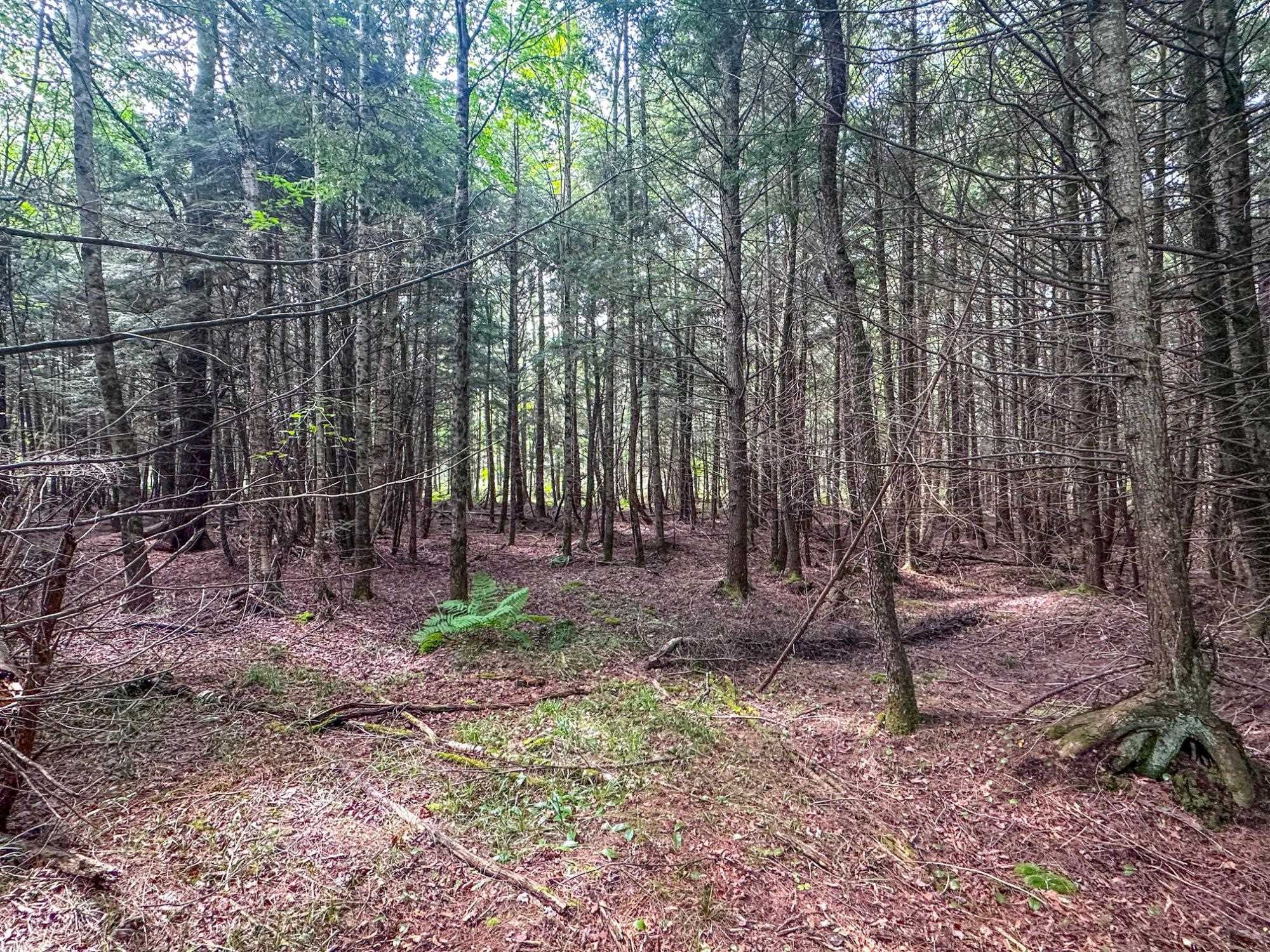 93.89A on KUNDINGER ROAD, Park Falls, Wisconsin 54552, ,Land,For Sale,93.89A on KUNDINGER ROAD,22601354