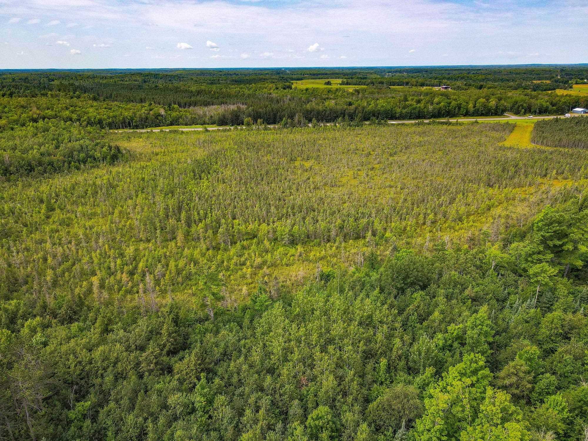 93.89A on KUNDINGER ROAD, Park Falls, Wisconsin 54552, ,Land,For Sale,93.89A on KUNDINGER ROAD,22601354