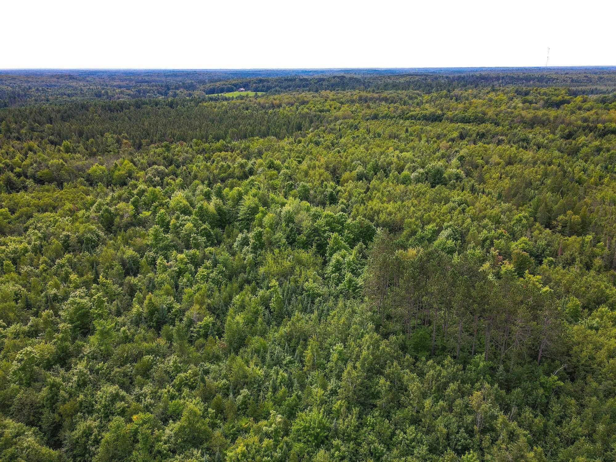 93.89A on KUNDINGER ROAD, Park Falls, Wisconsin 54552, ,Land,For Sale,93.89A on KUNDINGER ROAD,22601354