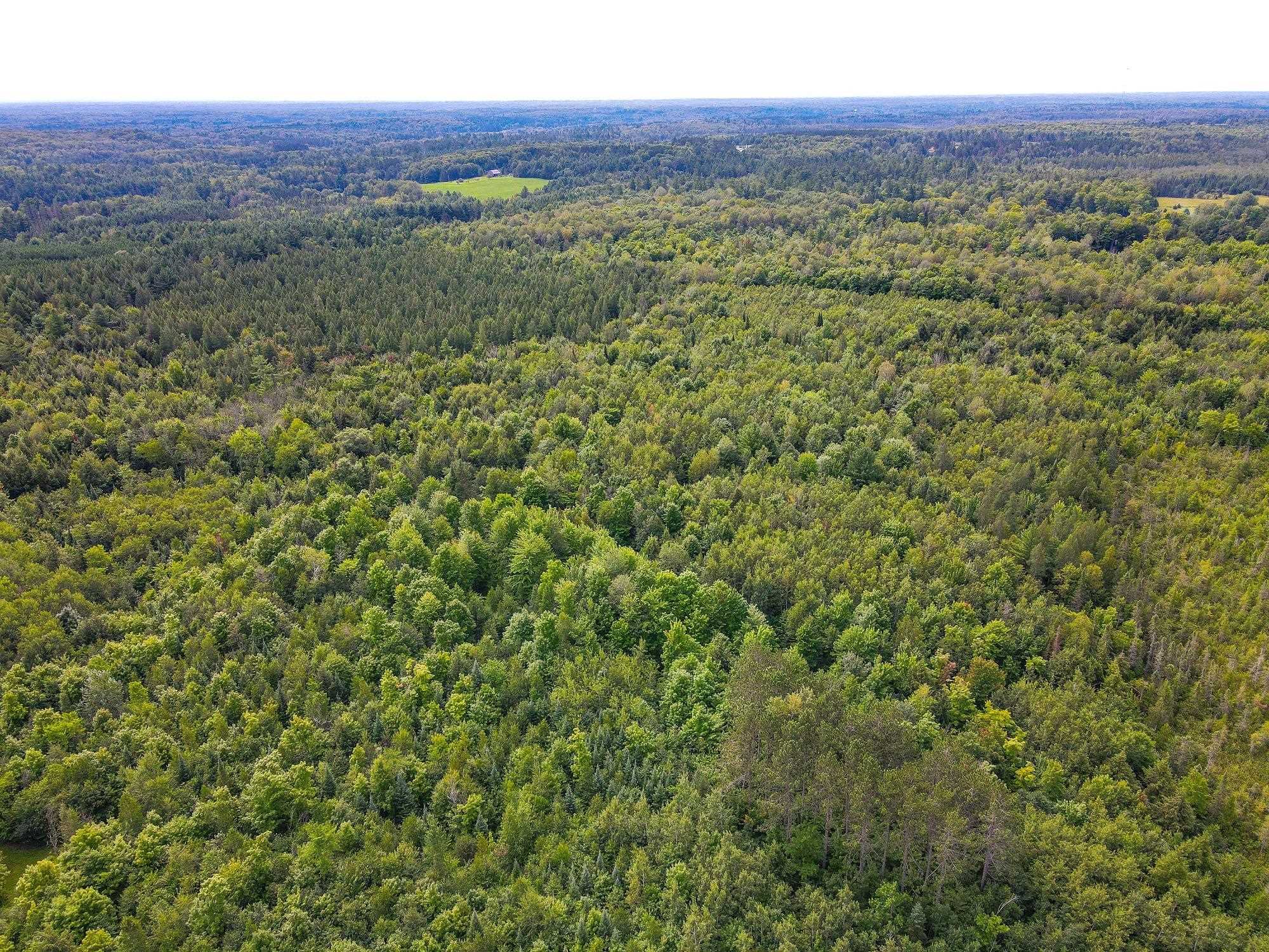 93.89A on KUNDINGER ROAD, Park Falls, Wisconsin 54552, ,Land,For Sale,93.89A on KUNDINGER ROAD,22601354