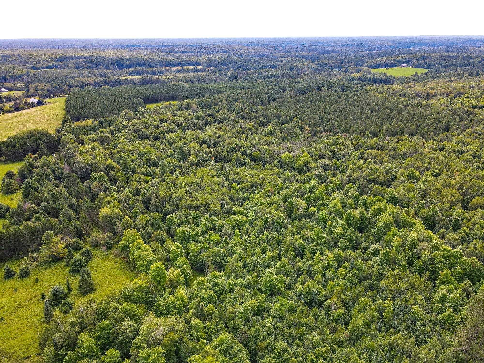 93.89A on KUNDINGER ROAD, Park Falls, Wisconsin 54552, ,Land,For Sale,93.89A on KUNDINGER ROAD,22601354