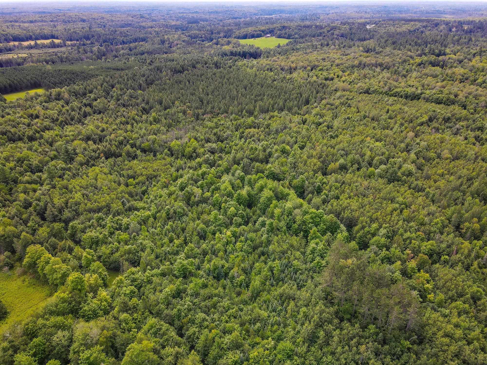 93.89A on KUNDINGER ROAD, Park Falls, Wisconsin 54552, ,Land,For Sale,93.89A on KUNDINGER ROAD,22601354