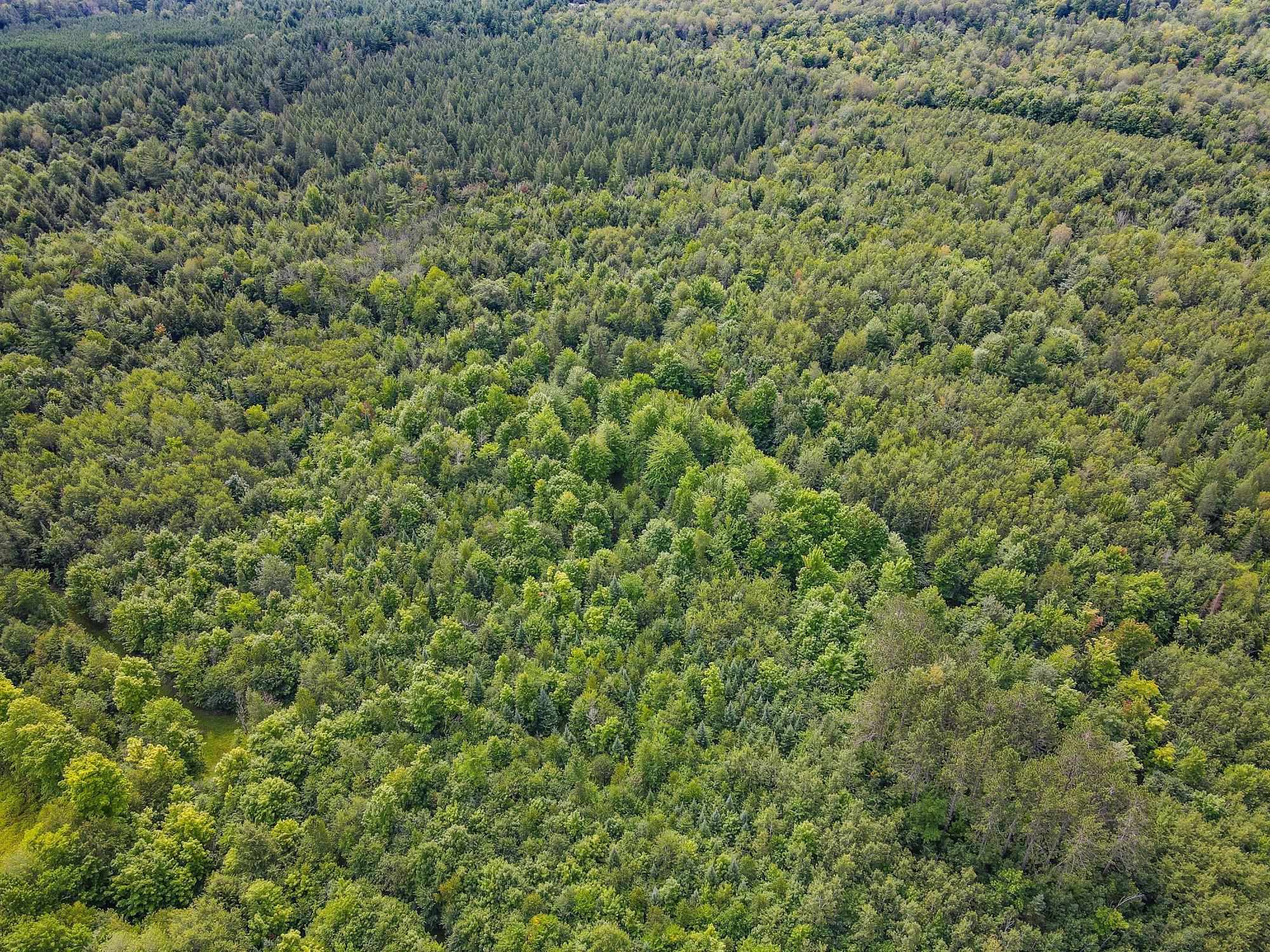 93.89A on KUNDINGER ROAD, Park Falls, Wisconsin 54552, ,Land,For Sale,93.89A on KUNDINGER ROAD,22601354