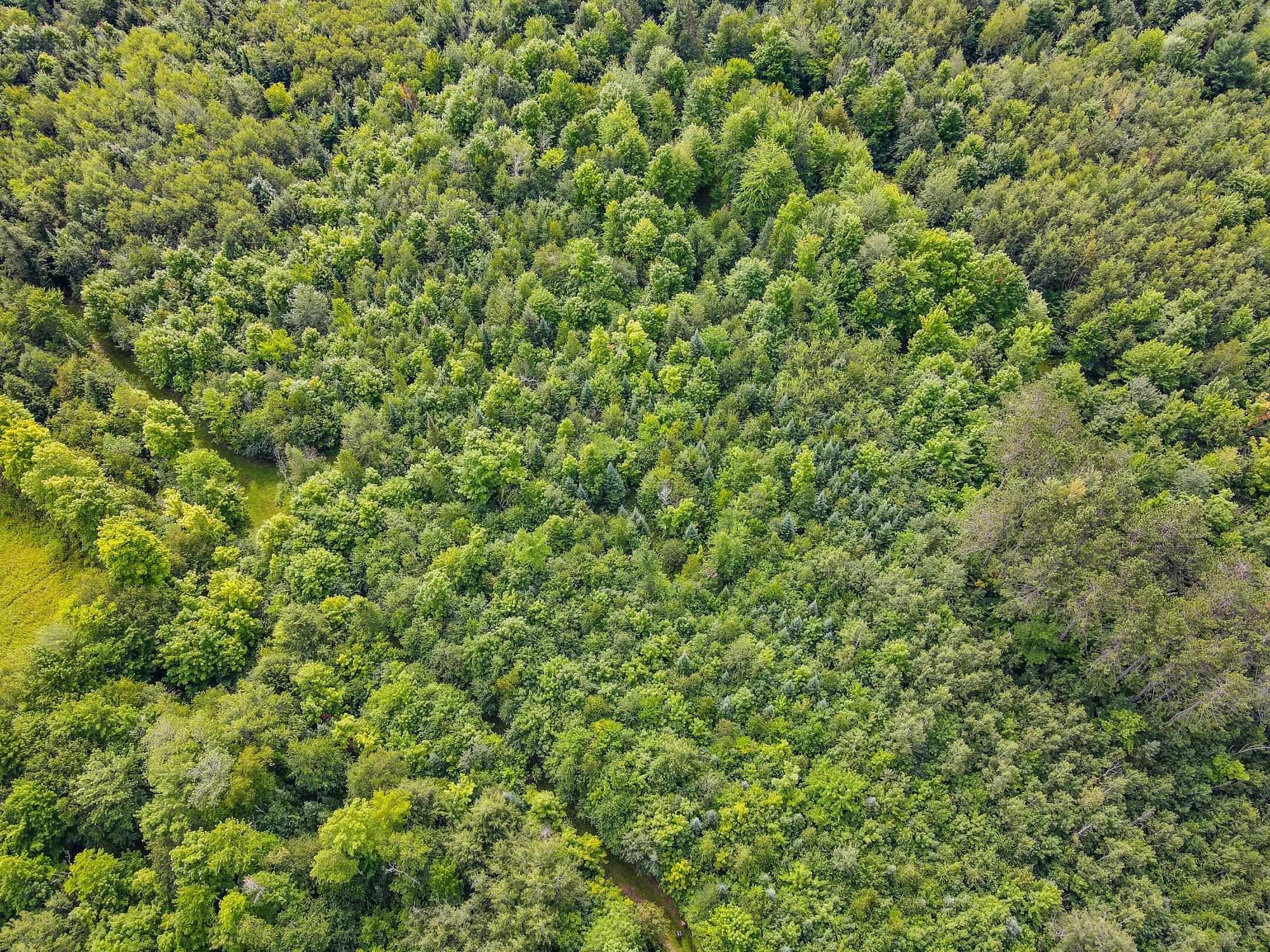 93.89A on KUNDINGER ROAD, Park Falls, Wisconsin 54552, ,Land,For Sale,93.89A on KUNDINGER ROAD,22601354