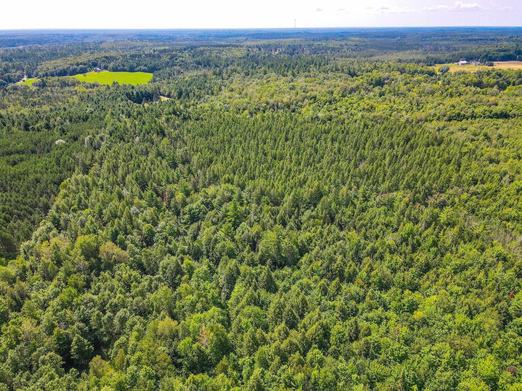 93.89A on KUNDINGER ROAD, Park Falls, Wisconsin 54552, ,Land,For Sale,93.89A on KUNDINGER ROAD,22601354