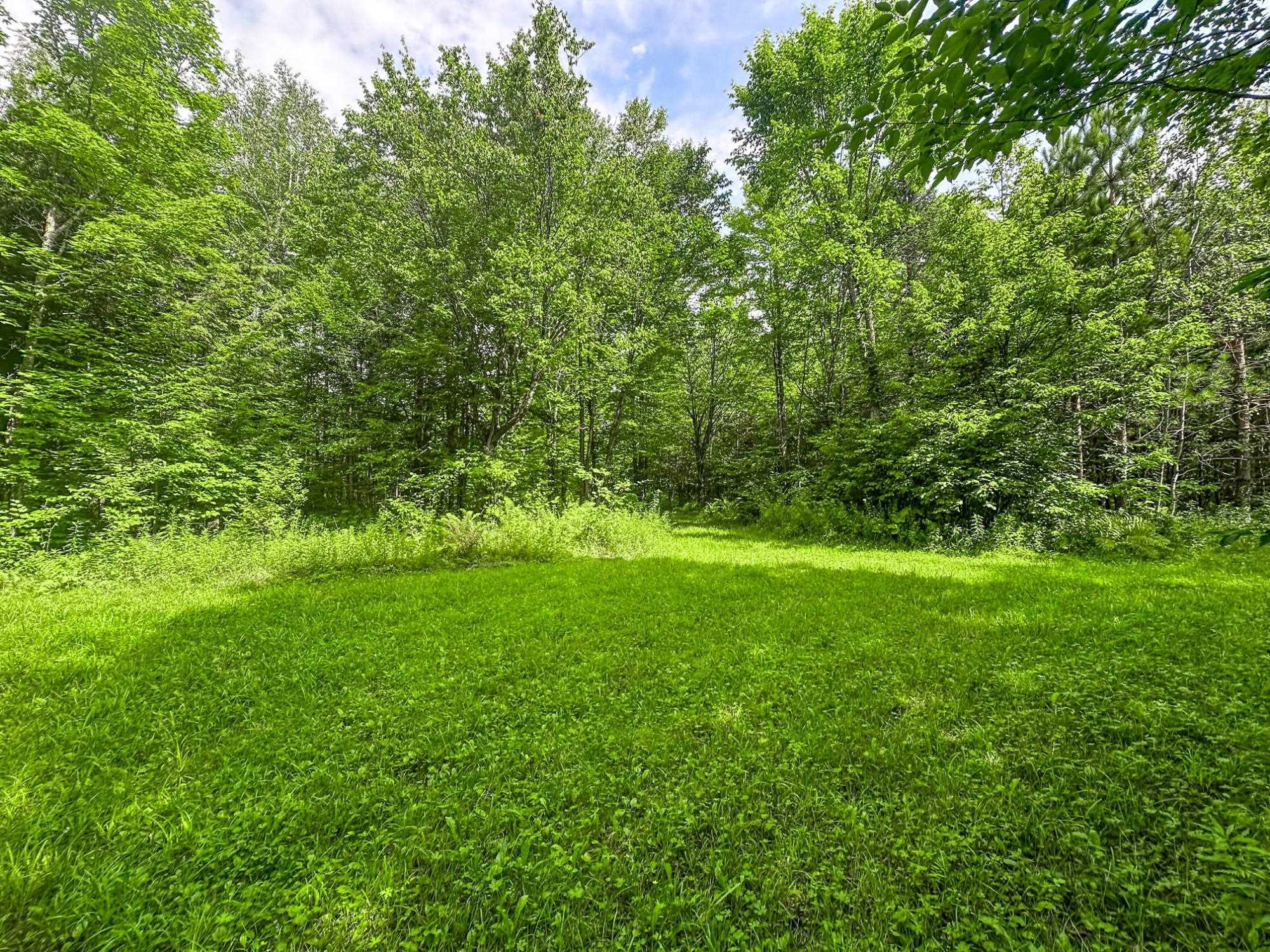 93.89A on KUNDINGER ROAD, Park Falls, Wisconsin 54552, ,Land,For Sale,93.89A on KUNDINGER ROAD,22601354