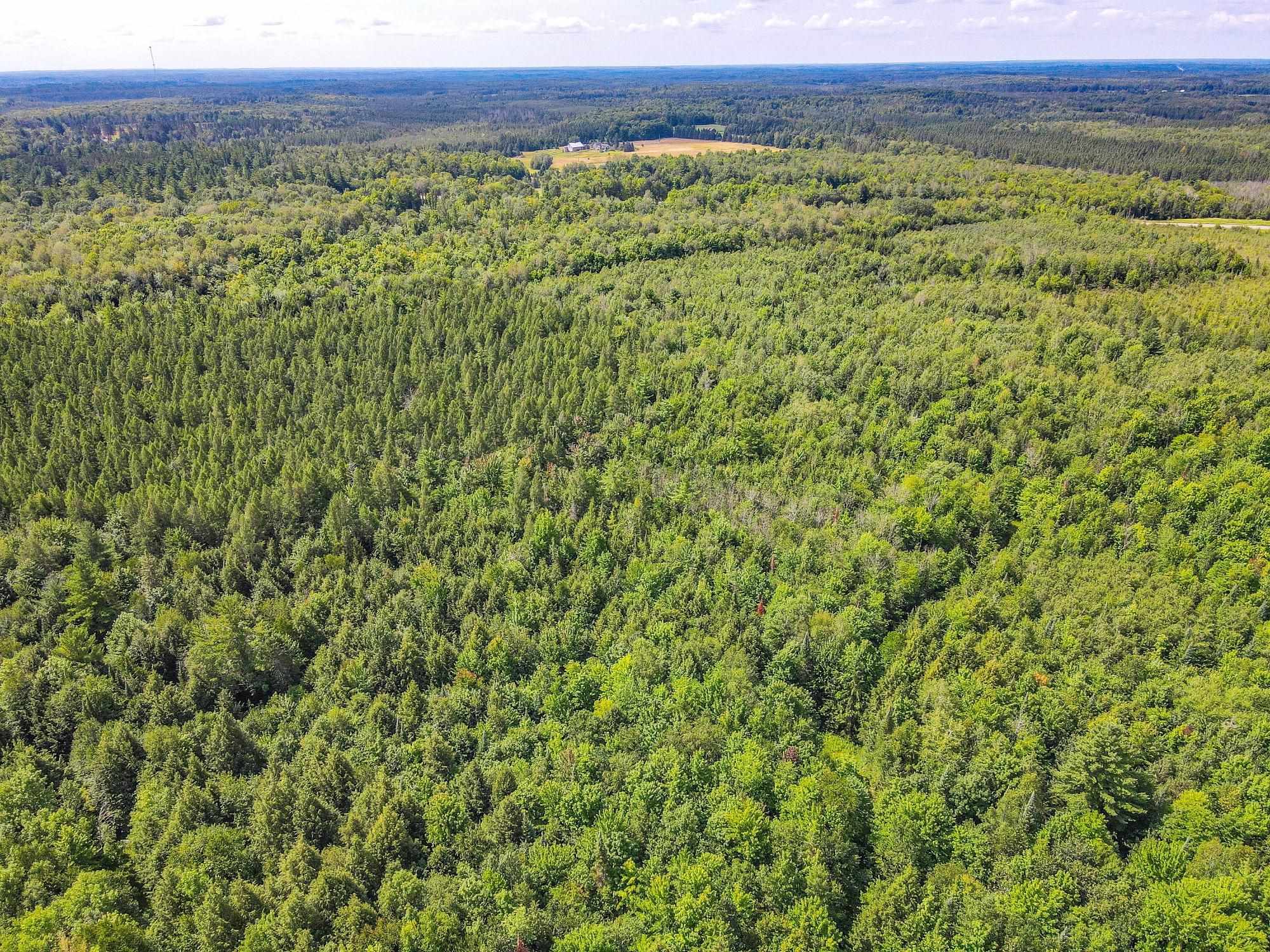 93.89A on KUNDINGER ROAD, Park Falls, Wisconsin 54552, ,Land,For Sale,93.89A on KUNDINGER ROAD,22601354