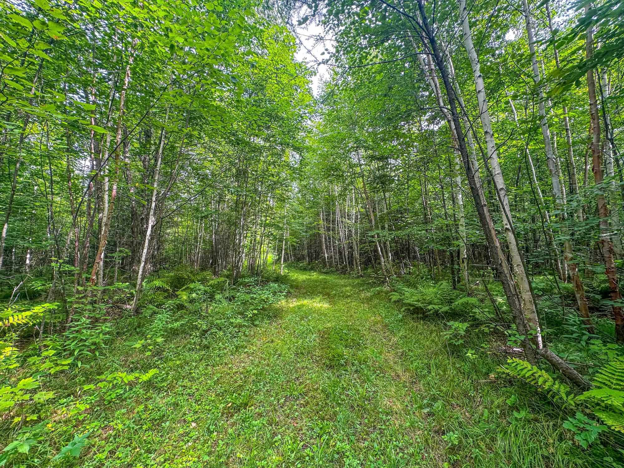 93.89A on KUNDINGER ROAD, Park Falls, Wisconsin 54552, ,Land,For Sale,93.89A on KUNDINGER ROAD,22601354