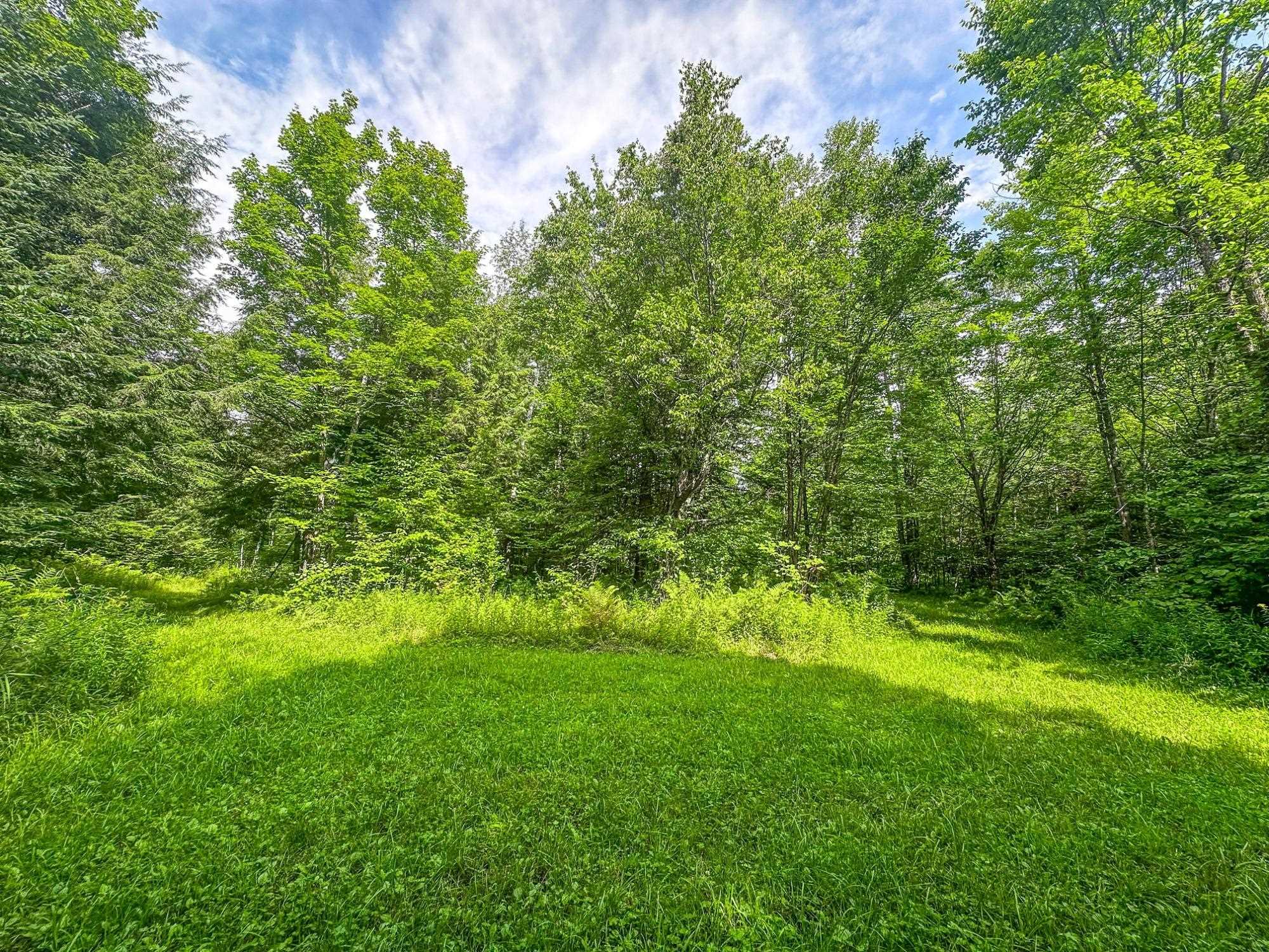 93.89A on KUNDINGER ROAD, Park Falls, Wisconsin 54552, ,Land,For Sale,93.89A on KUNDINGER ROAD,22601354