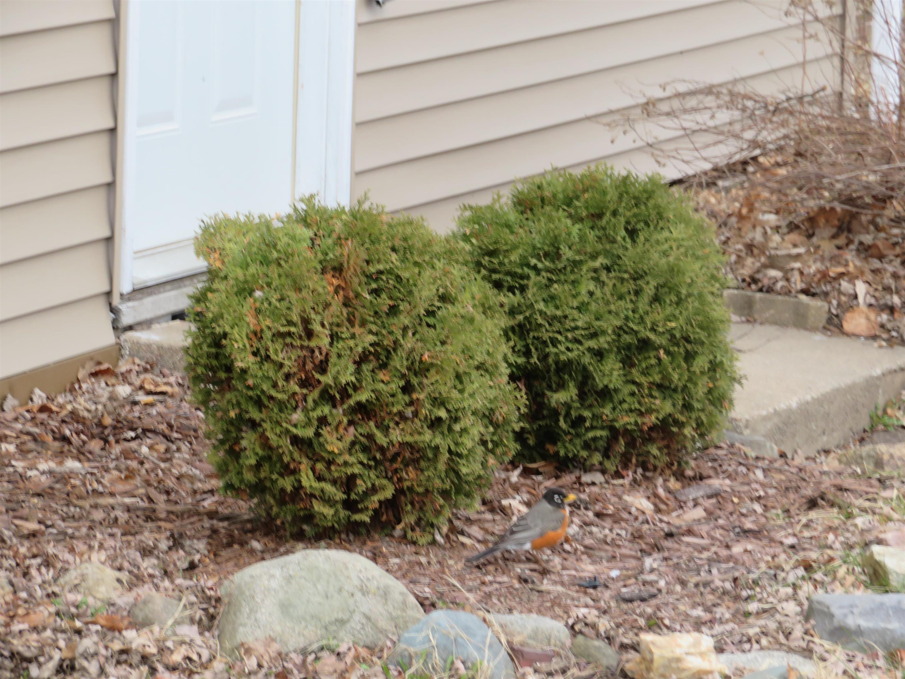 700 N MILL STREET, Merrill, Wisconsin 54452, 3 Bedrooms Bedrooms, ,3 BathroomsBathrooms,Residential,For Sale,700 N MILL STREET,22601356