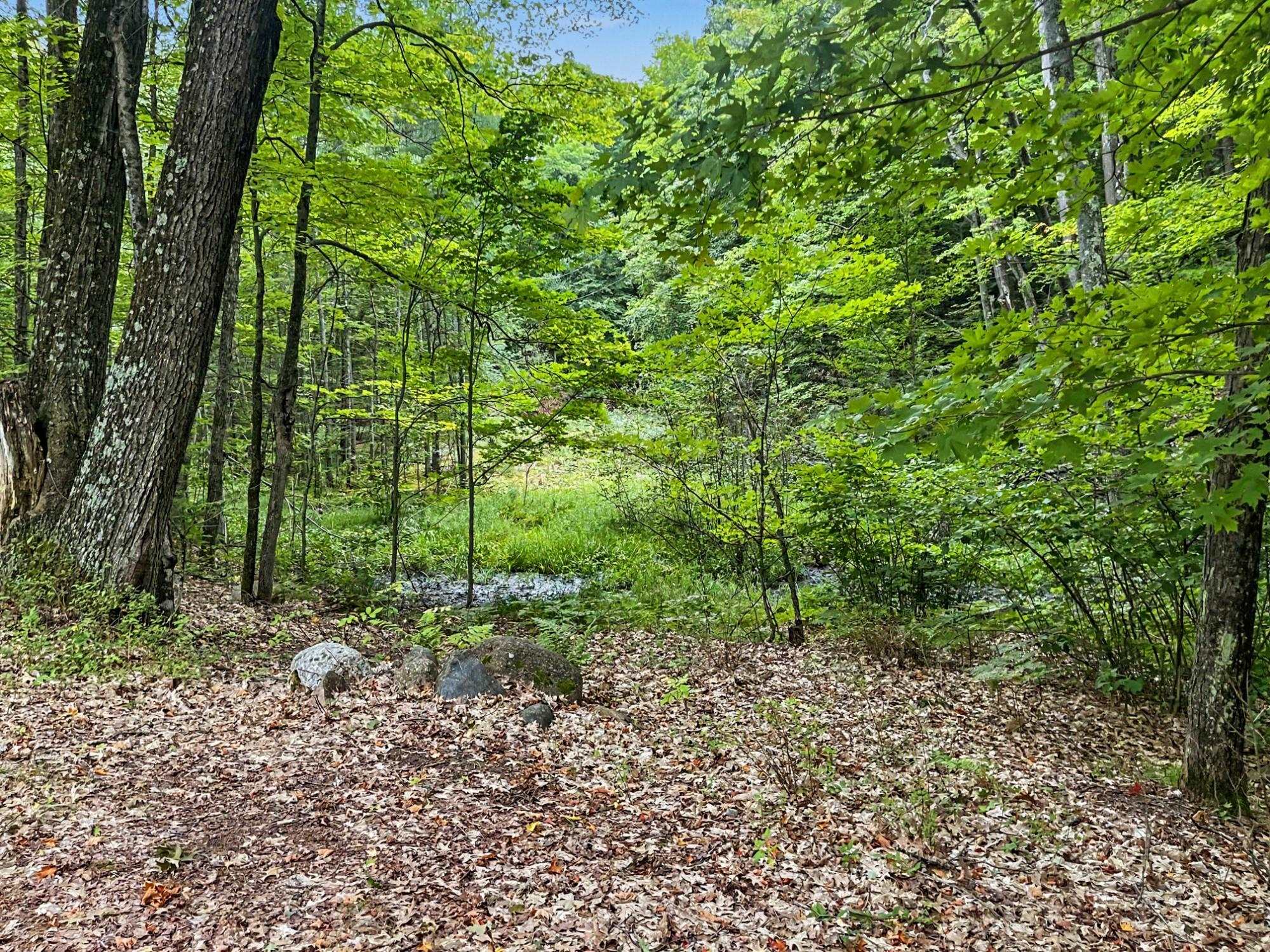 N8821 STAR TRAIL, Gleason, Wisconsin 54435, 2 Bedrooms Bedrooms, ,1 BathroomBathrooms,Residential,For Sale,N8821 STAR TRAIL,22601360