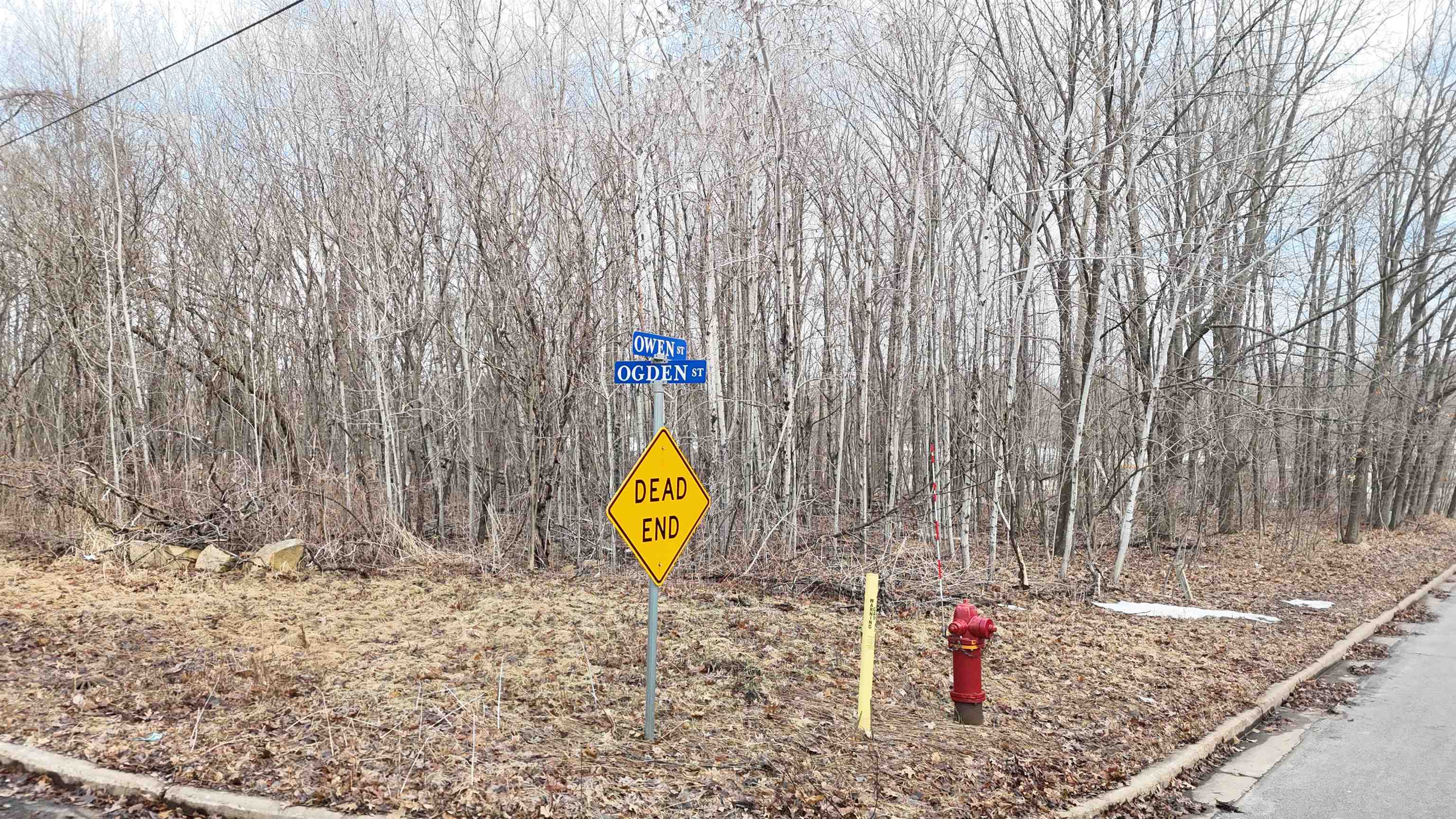 .94 Acres OWEN STREET, Mosinee, Wisconsin 54455, ,Land,For Sale,.94 Acres OWEN STREET,22601372