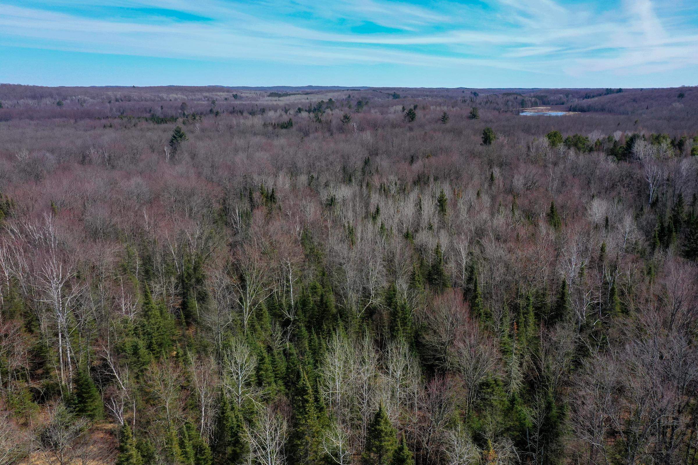 N8584 COUNTY ROAD E, Westboro, Wisconsin 54490, 2 Bedrooms Bedrooms, ,2 BathroomsBathrooms,Residential,For Sale,N8584 COUNTY ROAD E,22601375