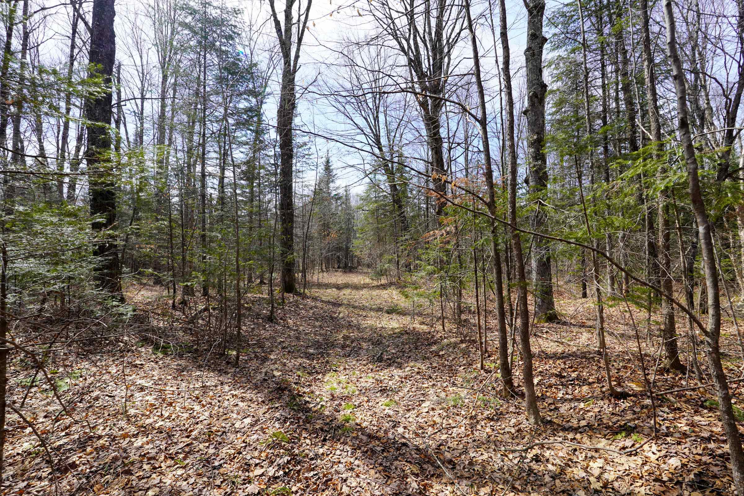 N8584 COUNTY ROAD E, Westboro, Wisconsin 54490, 2 Bedrooms Bedrooms, ,2 BathroomsBathrooms,Residential,For Sale,N8584 COUNTY ROAD E,22601375