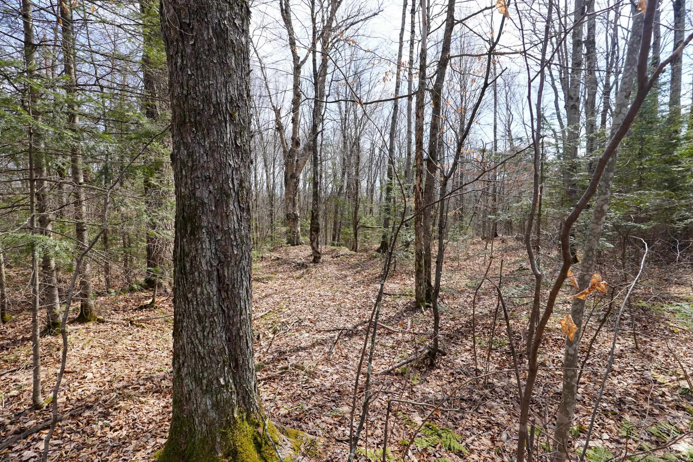 N8584 COUNTY ROAD E, Westboro, Wisconsin 54490, 2 Bedrooms Bedrooms, ,2 BathroomsBathrooms,Residential,For Sale,N8584 COUNTY ROAD E,22601375